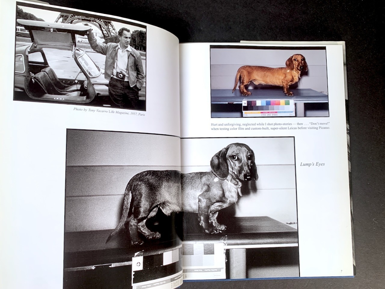 PICASSO & LUMP: A Dachshund’s Odyssey – David Douglas Duncan – HC/First Edition