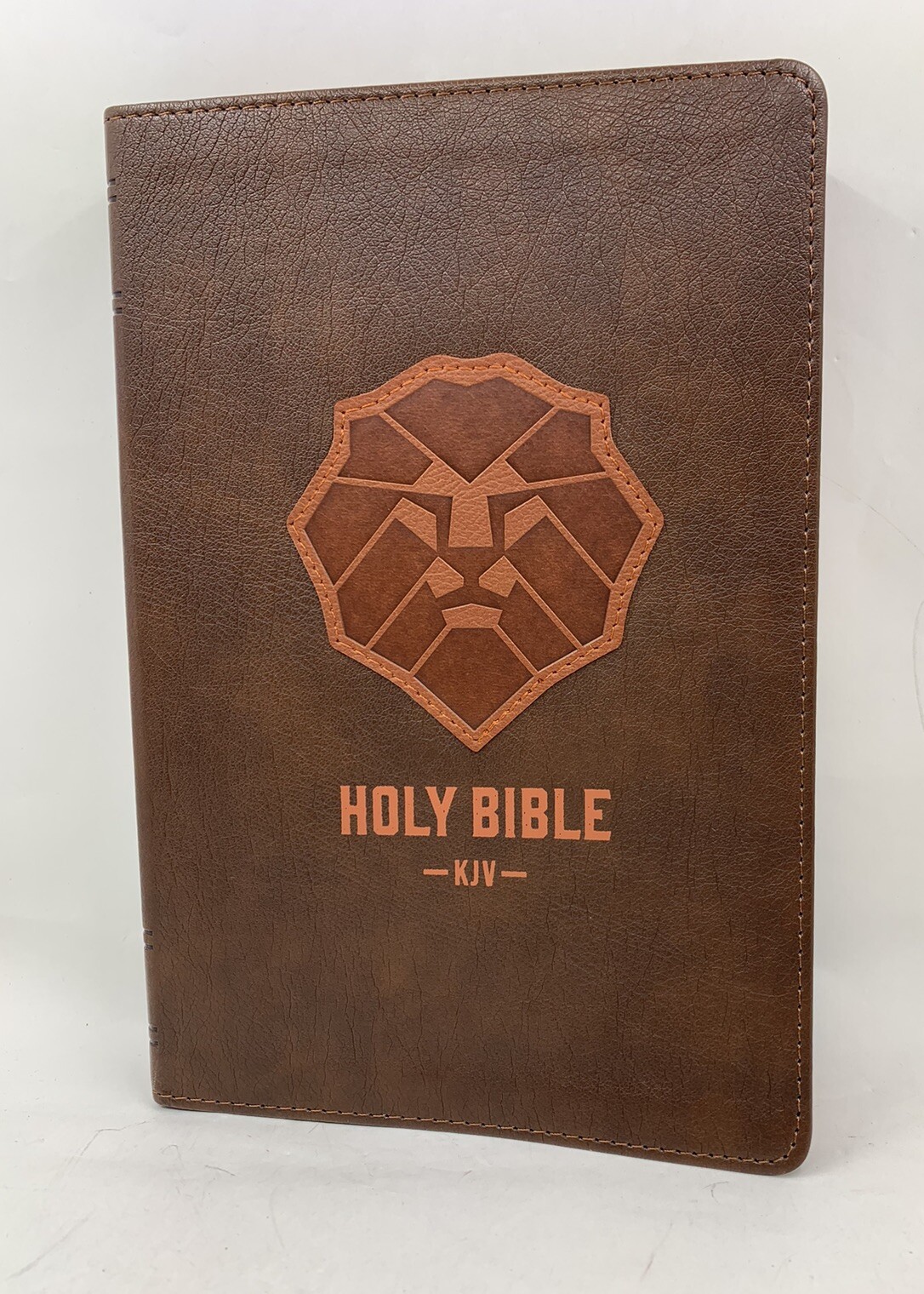 KJV Kids Bible, LARGE PRINT 40 Pages Full Color Study Helps, Presentation INDEX