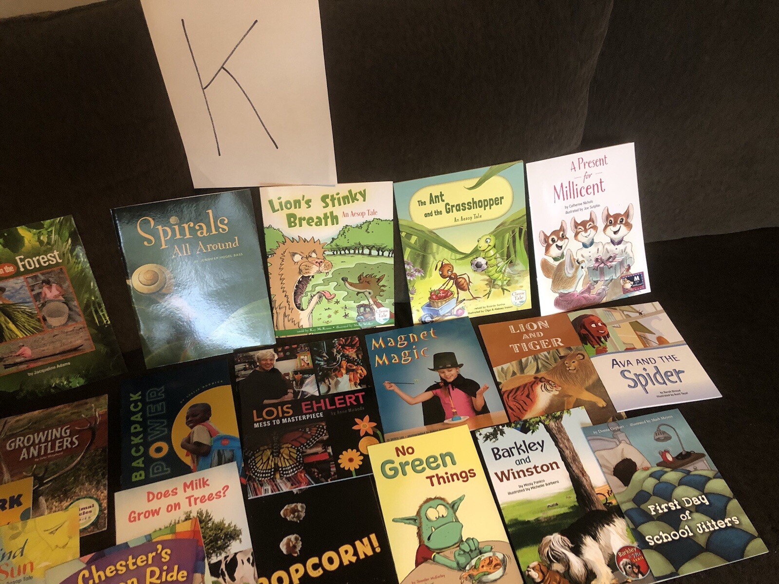 10 Books $15. Second Grade Reading Level TEACHER/SCHOOL LITERACY Free Ship