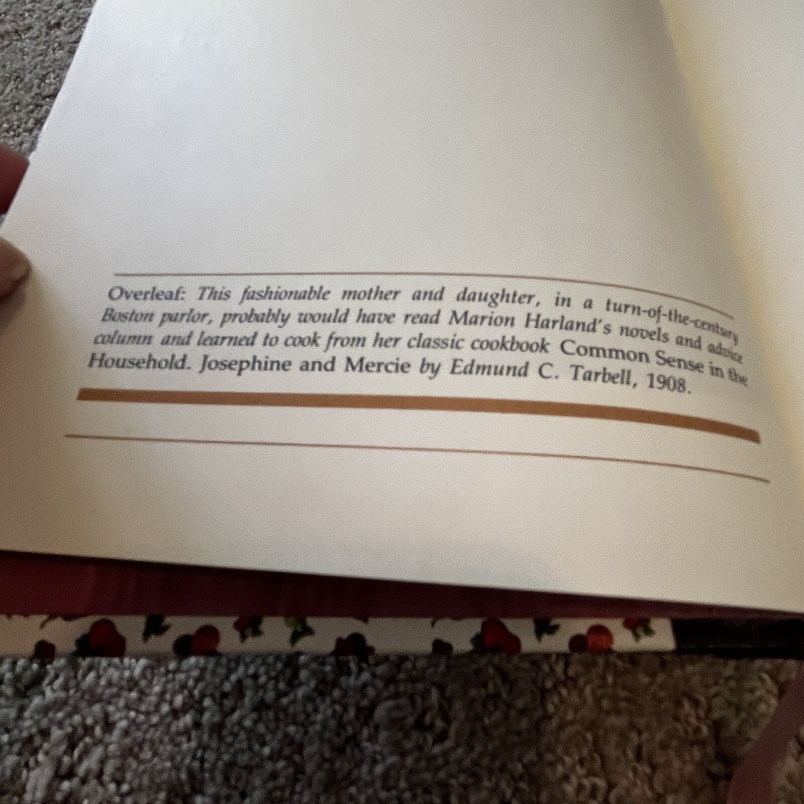 Common Sense in the Household Hardcover Book 1985 HC 1871 Cookbook Harland