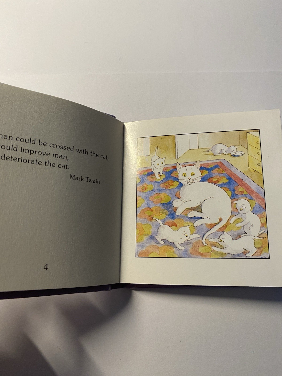 Vintage 1990 The Littlest Book of Kittens Mini Hardcover WJ Fantasy Book Cute