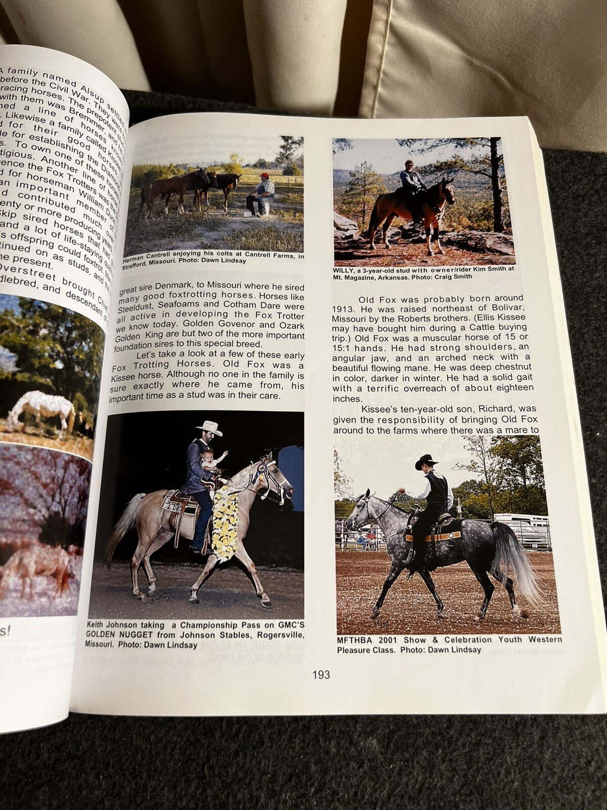 THE FABULOUS FLOATING HORSES By Barbara Weatherwax SC signed!