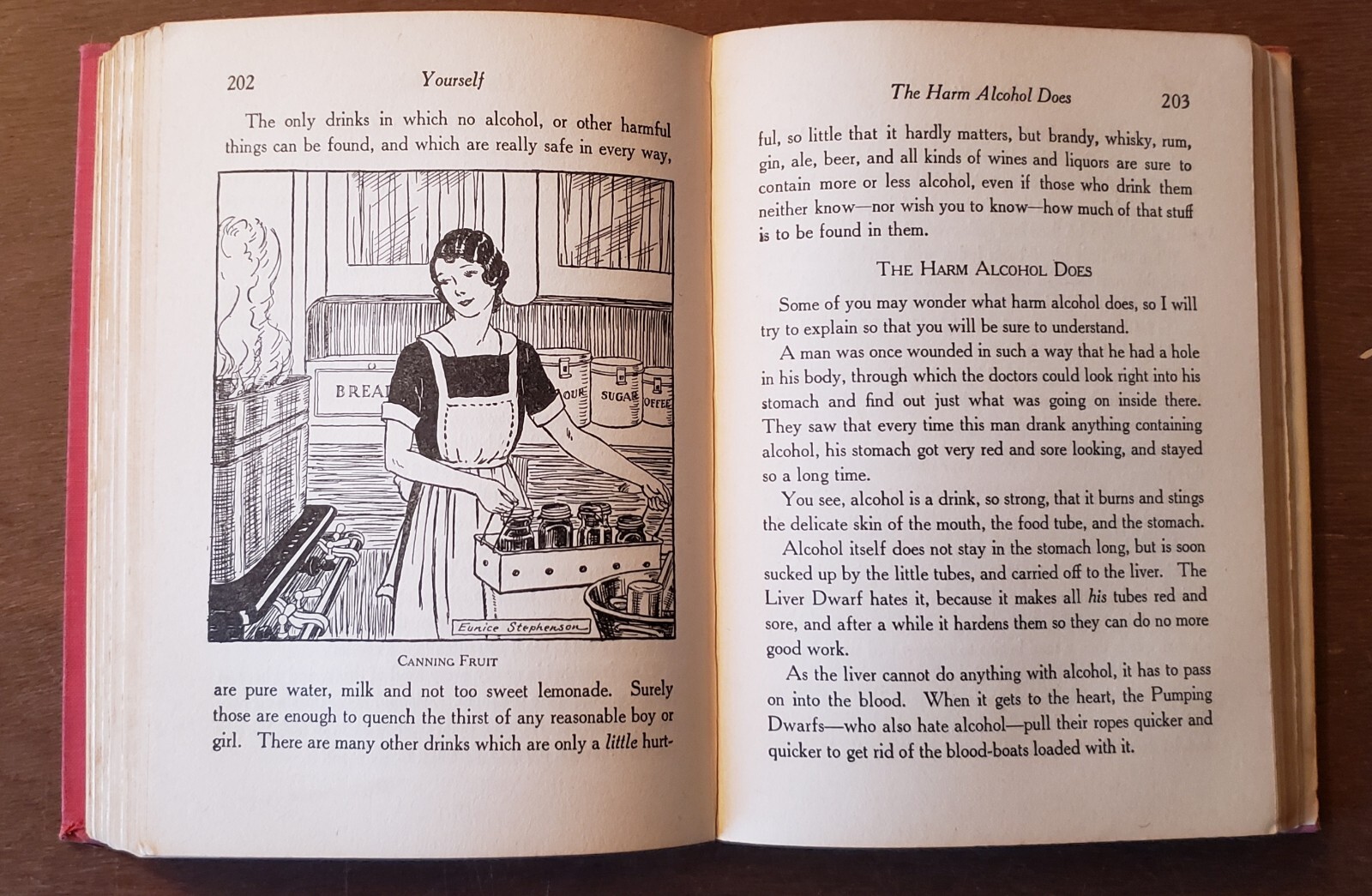 Yourself and Your House Wonderful by H.A. Guerber 1940 Hardcover 301 pages