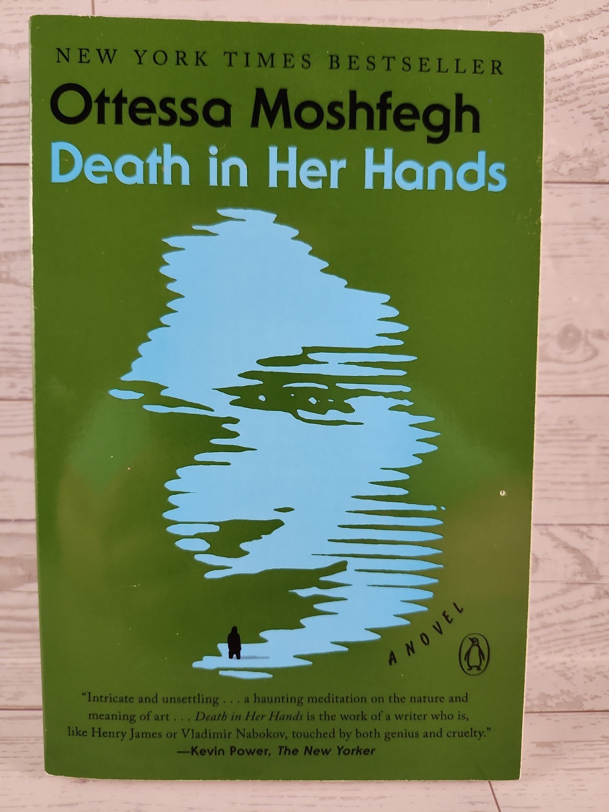 Death in Her Hands: A Novel Paperback By Moshfegh, Ottessa Very Good