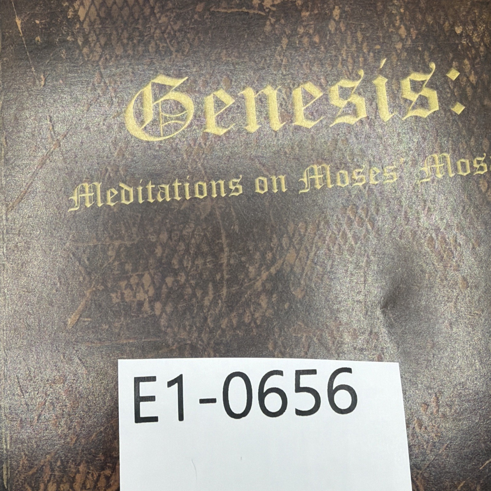 Genesis: Meditations on Moses’ Mosaic – Mark Driscoll Mars Hill Study