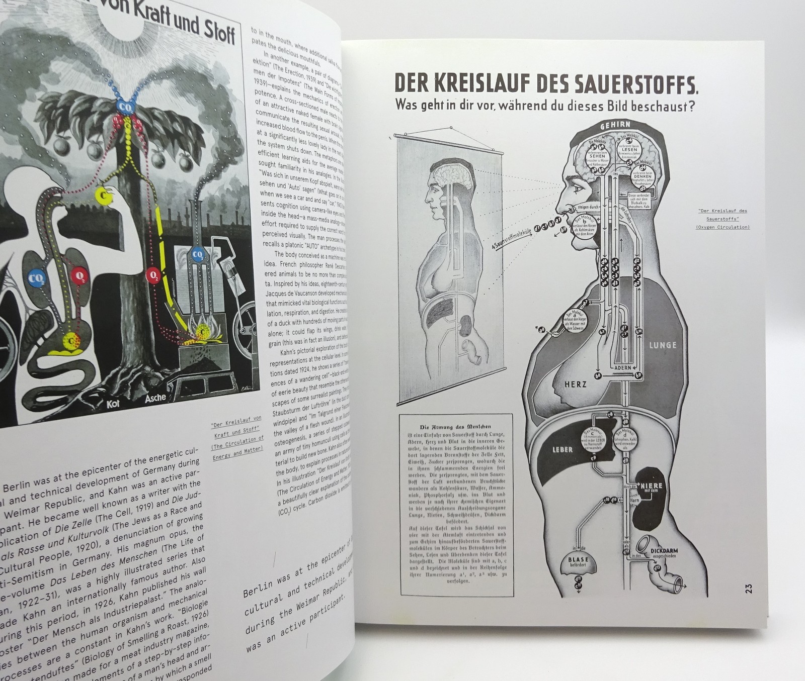 Look Inside: Cutaway Illustrations & Visual Storytelling Velasco Hardcover 2016