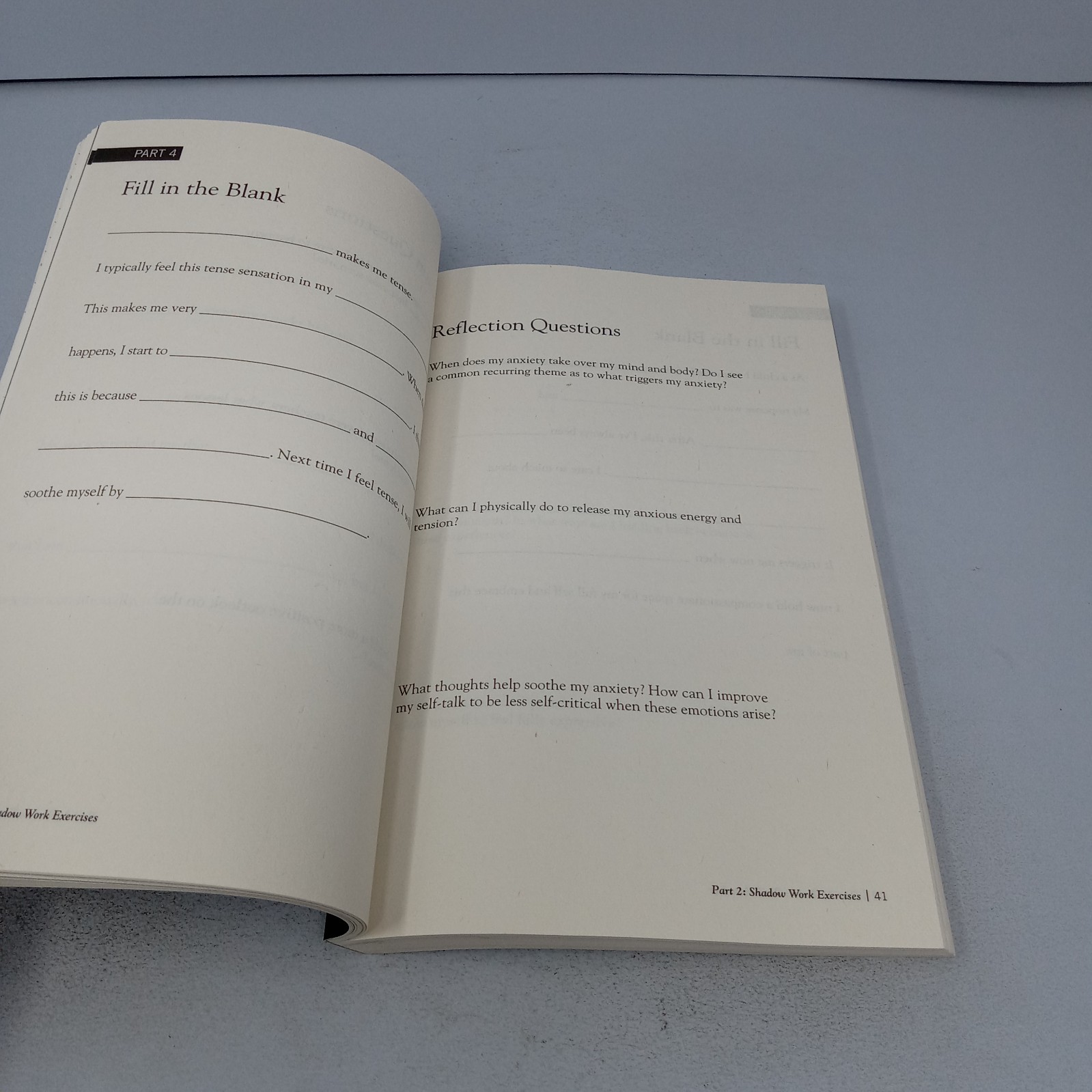 The Shadow Work Journal: 2024 Primero Sueño Press Paperback by Keila Shaheen