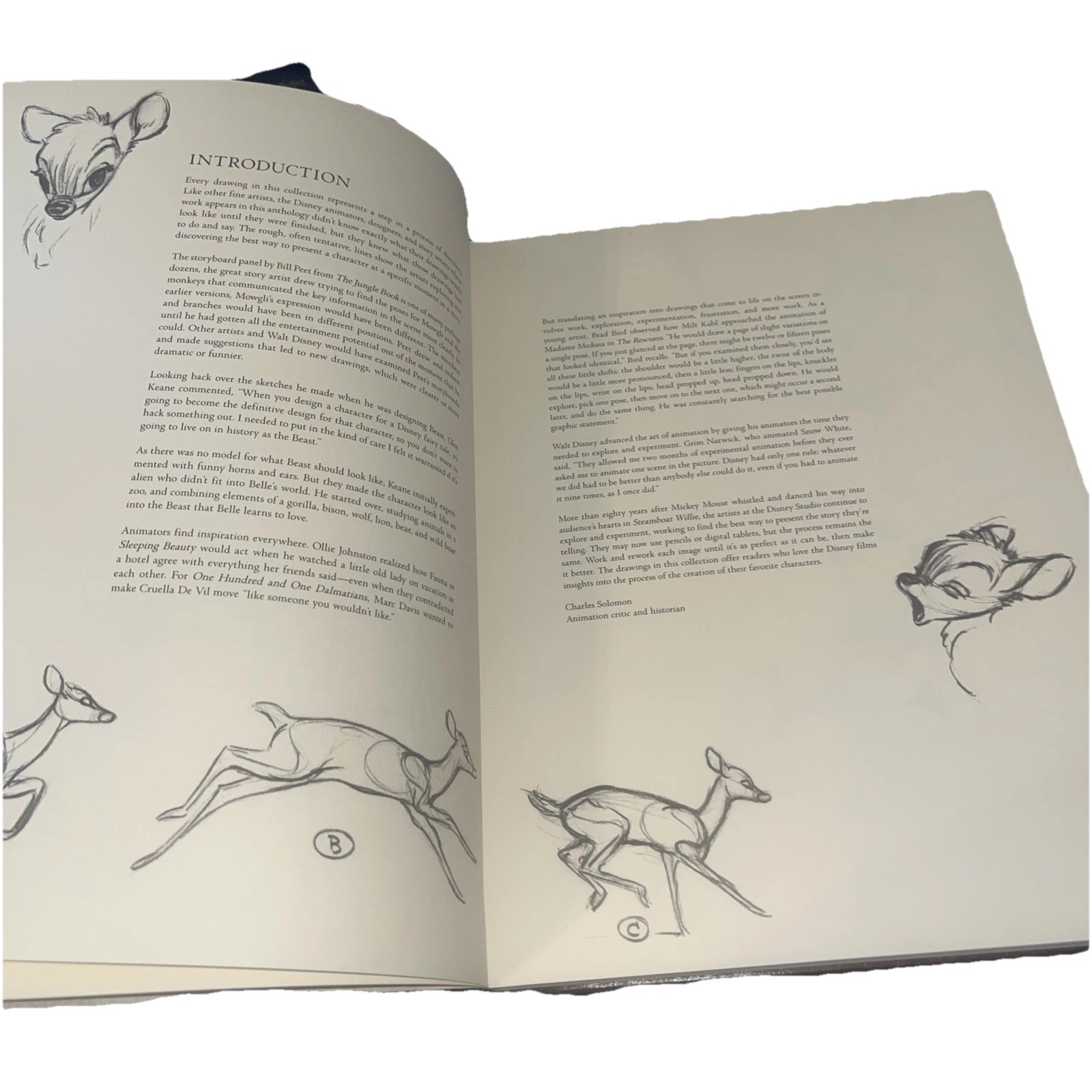 A Disney Sketchbook (Disney Editions Deluxe) Animation Book Ken Shue Hardcover