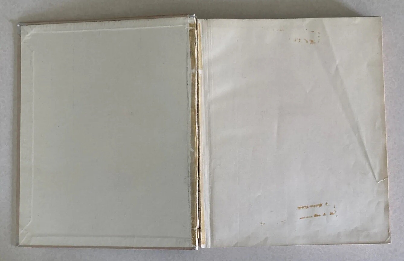 1917 HC in German, Photo Diary of Crown Prince Wilhelm By Ernst Vollbehr, WW1