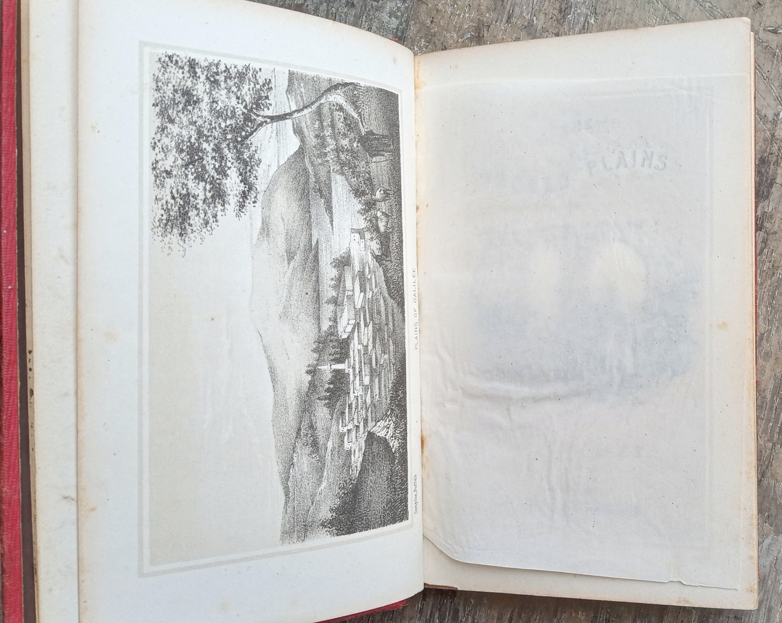 The Sacred Plains ~1856 Antique HC~ Headley Bible Geography Buffalo NY Illust