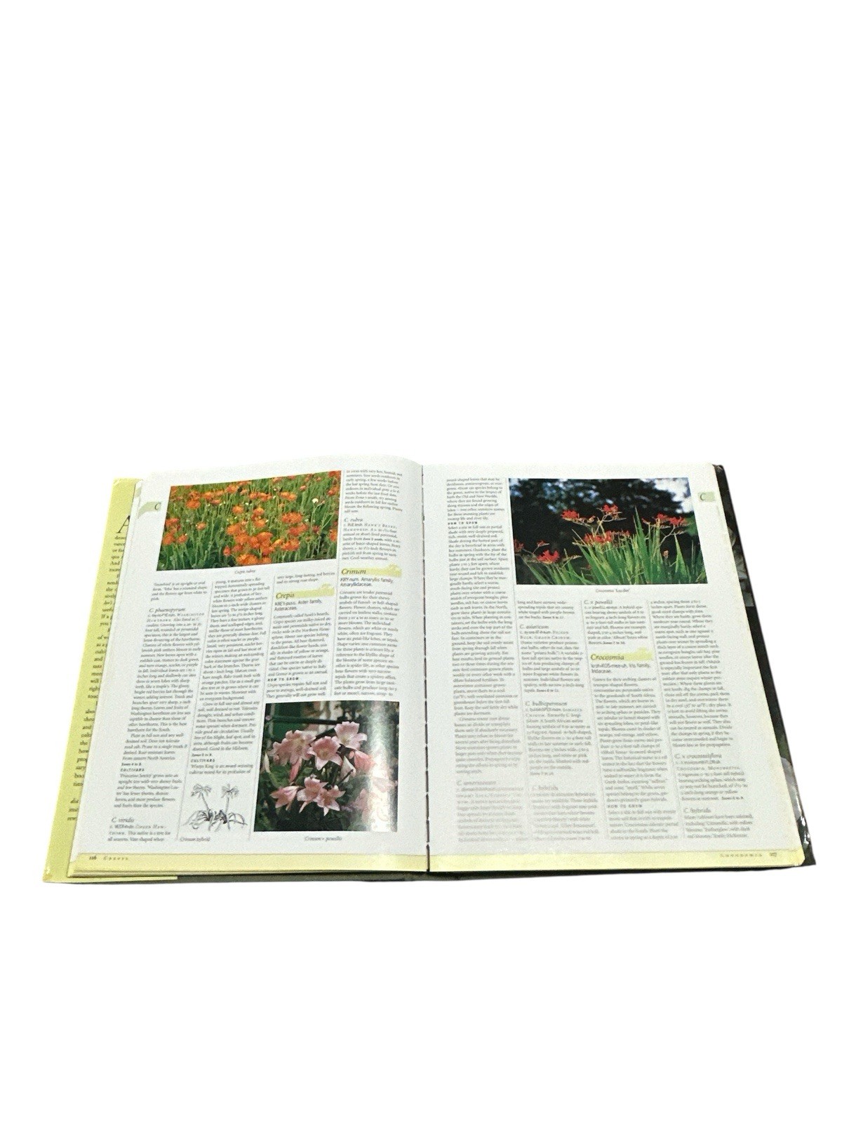 Taylor’s Encyclopedia of Garden Plants (Taylor’s Guides) by Frances Tenenbaum