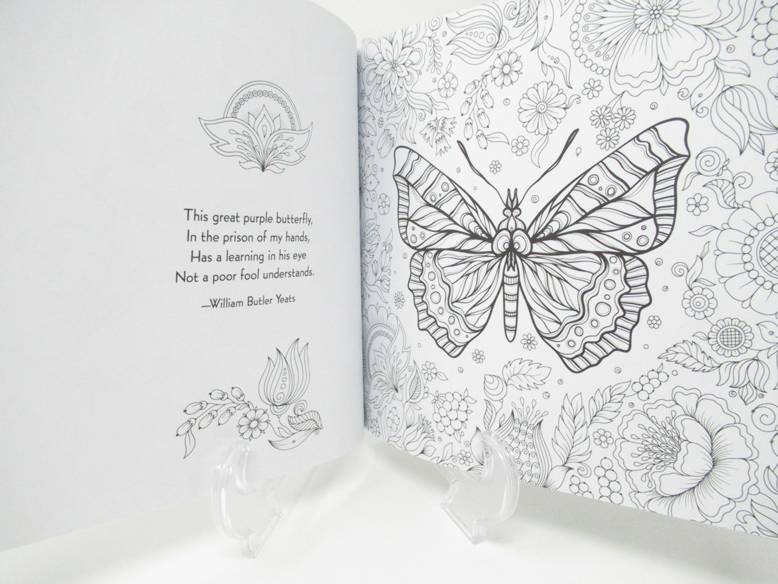 Adult Coloring Book Cottage Garden Floral 80+pages intricate designs patterns