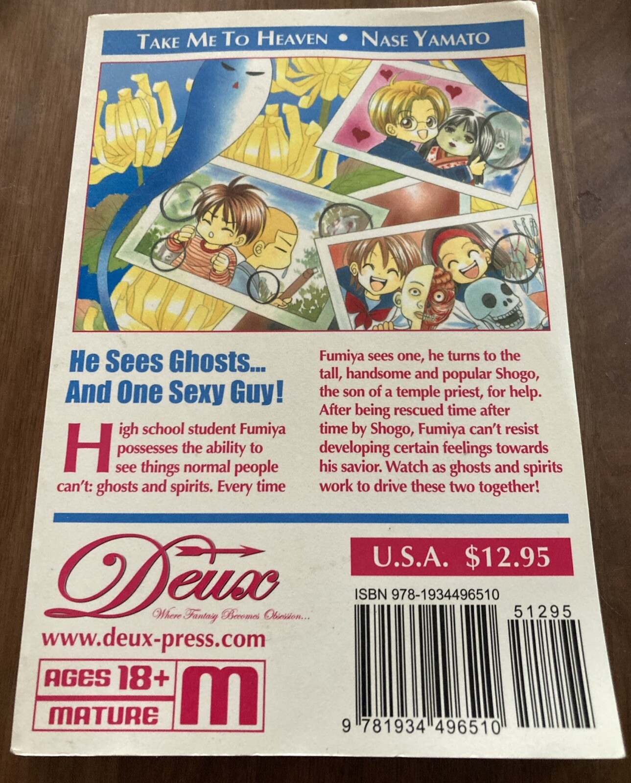 Take Me To Heaven Manga Book Nase Yamato English Volume Rated Mature – Anime