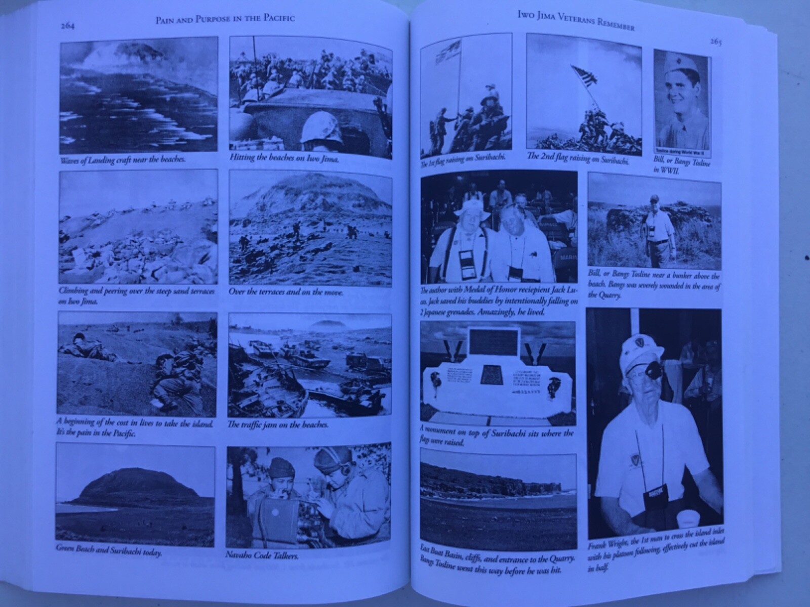 Pain & Purpose In the Pacific: True Reports Of War Richard Carl Bright Iwo Jima