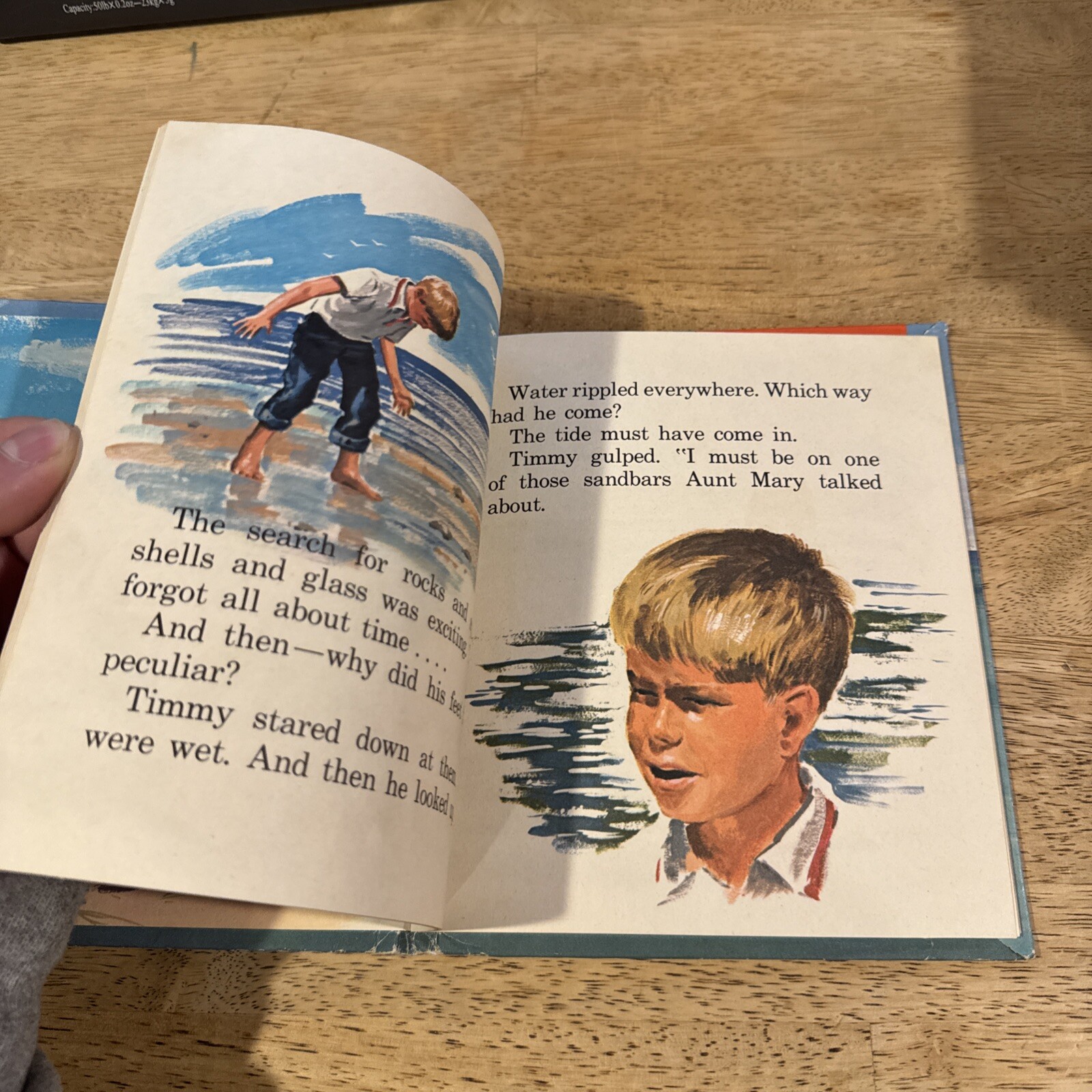 Lassie The Sandbar Rescue, 1964, Whitman Publishing by Jean Fiedler