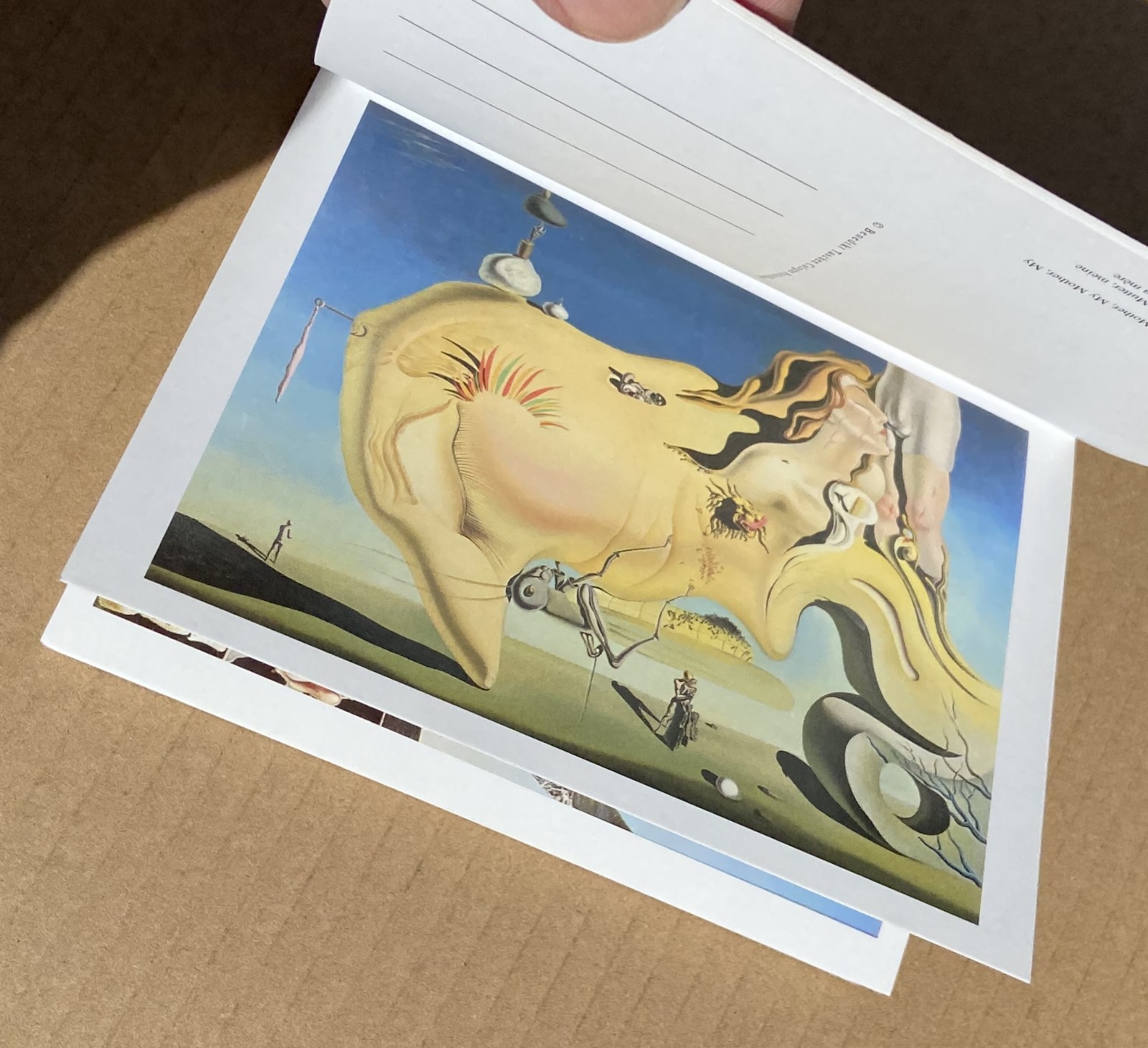 SALVADOR DALI 30 Postcards Postcard Booklet Book