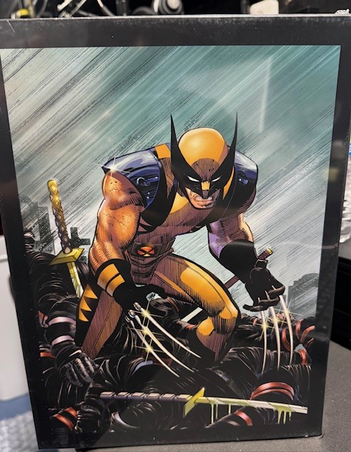 Marvel’s Deadpool and Wolverine: The Illustrated History Box Set Hardcover