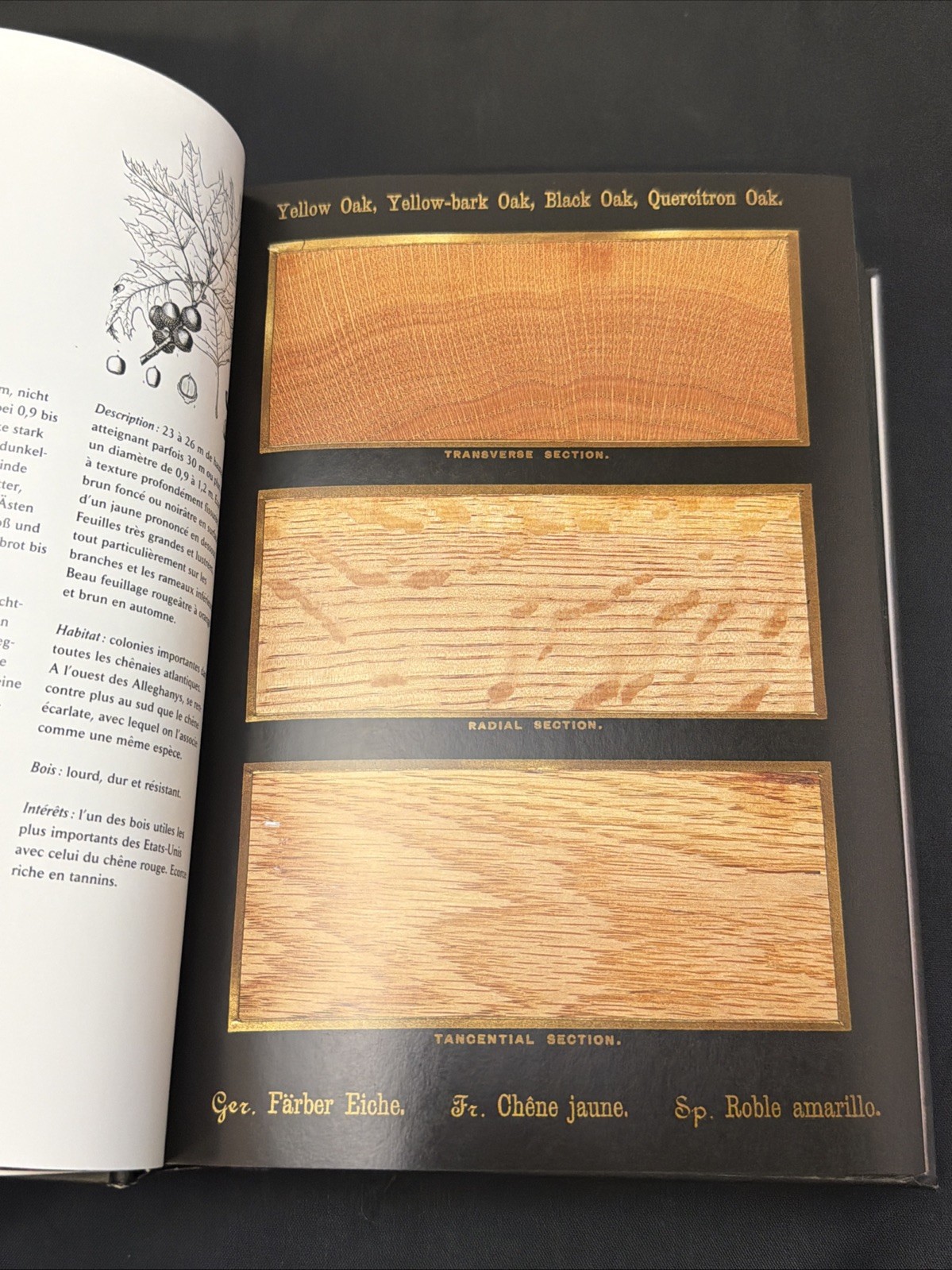 The Woodbook Complete Plates Taschen Wood Samples Book