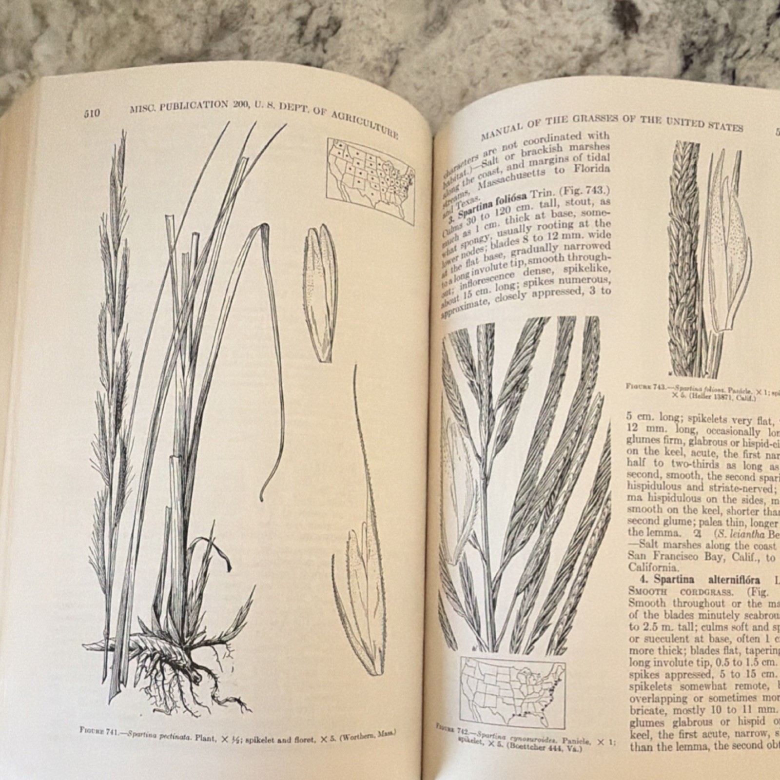 Manual of the Grasses (Hardcover, 1950, 2nd Ed.) A. S. Hitchcock & Agnes Chase: