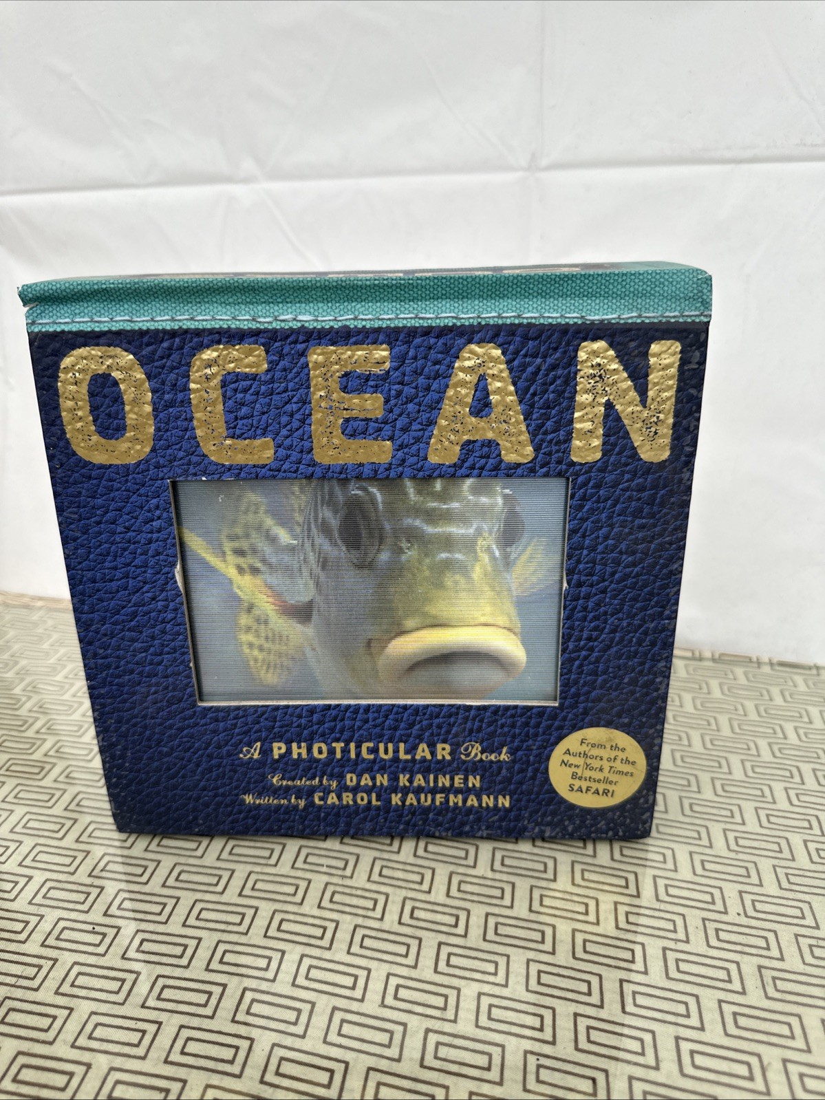A Photicular Book by Carol Kaufmann and Dan Kainen (2012, Hardcover) Safari2 Mor