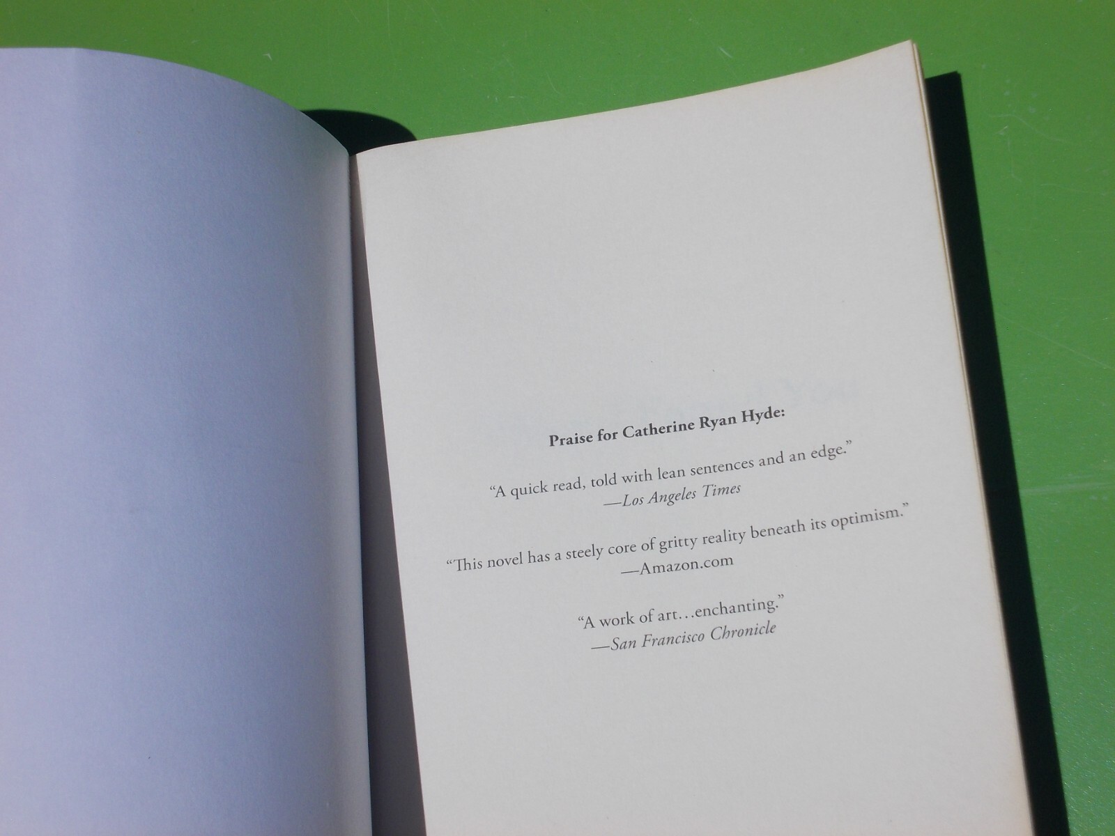 WHEN I FOUND YOU A NOVEL BY CATHERINE RYAN HYDE 2013 AMAZON PUBLISHING 399 PAGES