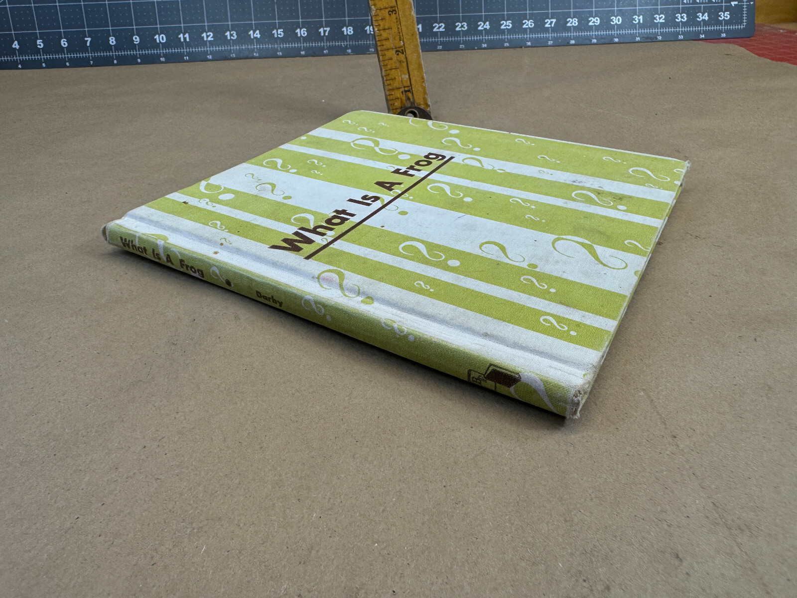What is a Frog (The What is it series) 1957 Gene Darby Vtg Children’s book b
