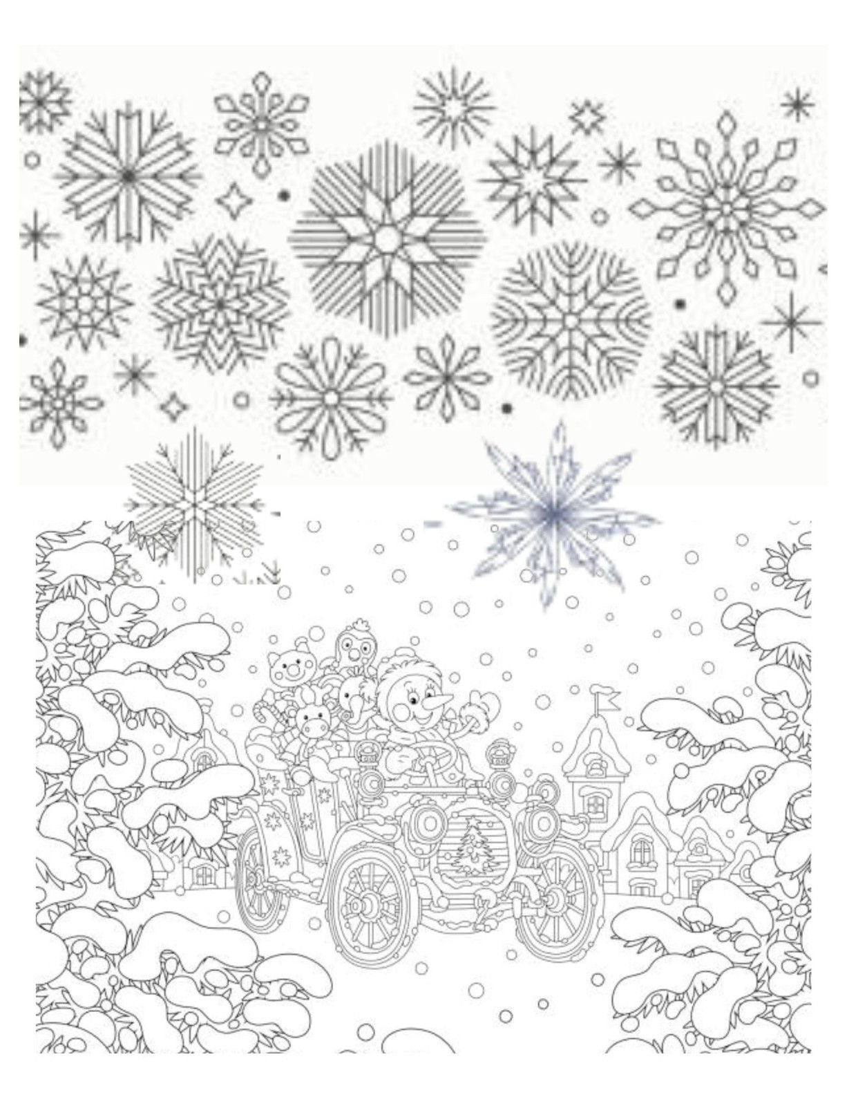 SnowFlakes are Falling Coloring Book All Ages 108 Pages 8.5 x 11 for All Ages
