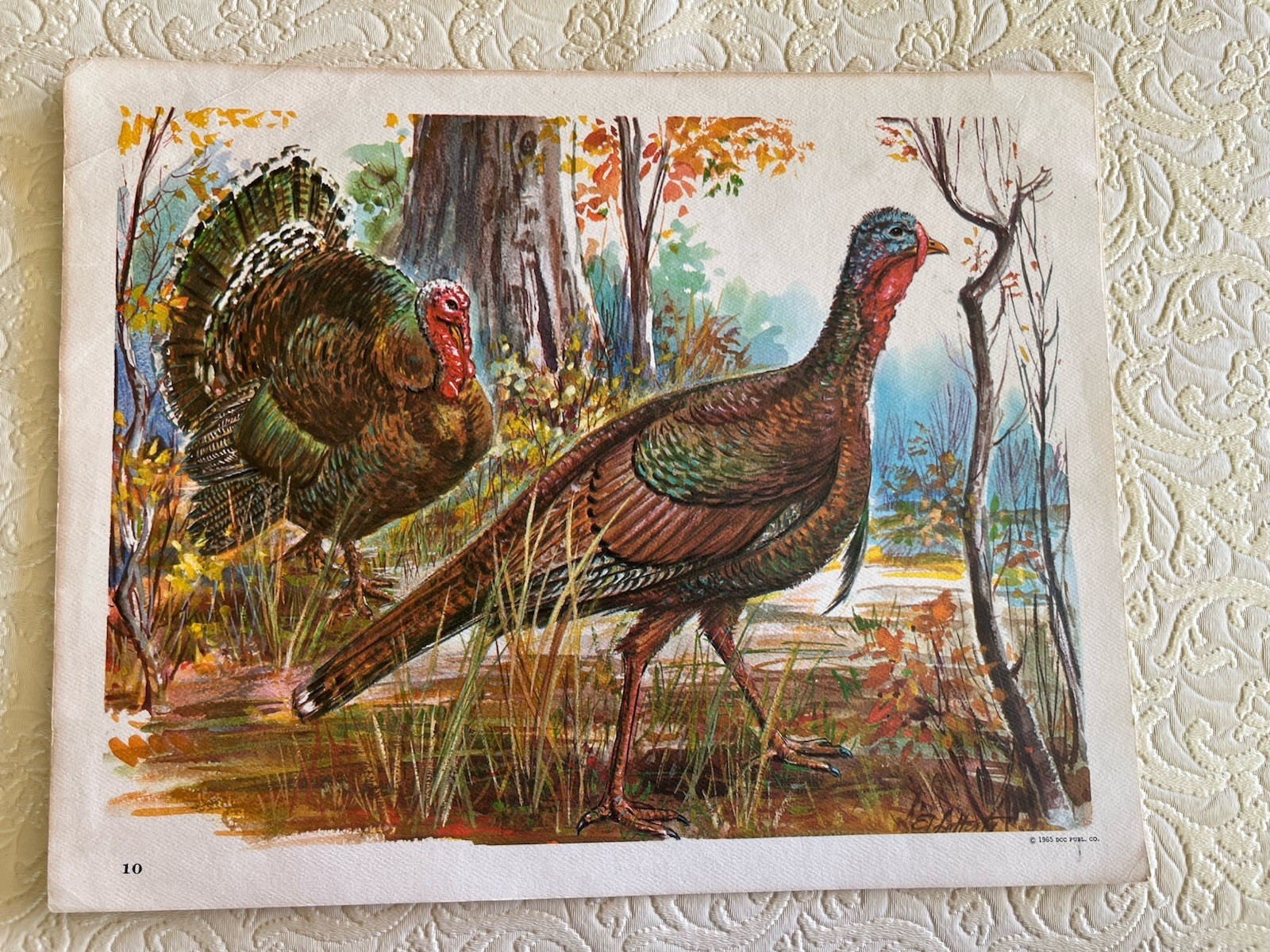 1965 David C Cook Publishing Instructions 7 Holiday Posters Educational ￼