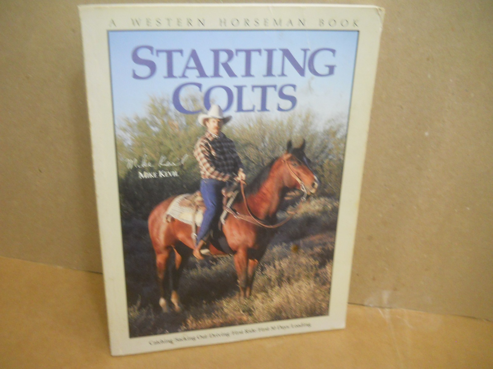 Lot of Horse/Equestrian Books VG TPBs no issues~ Ships boxed