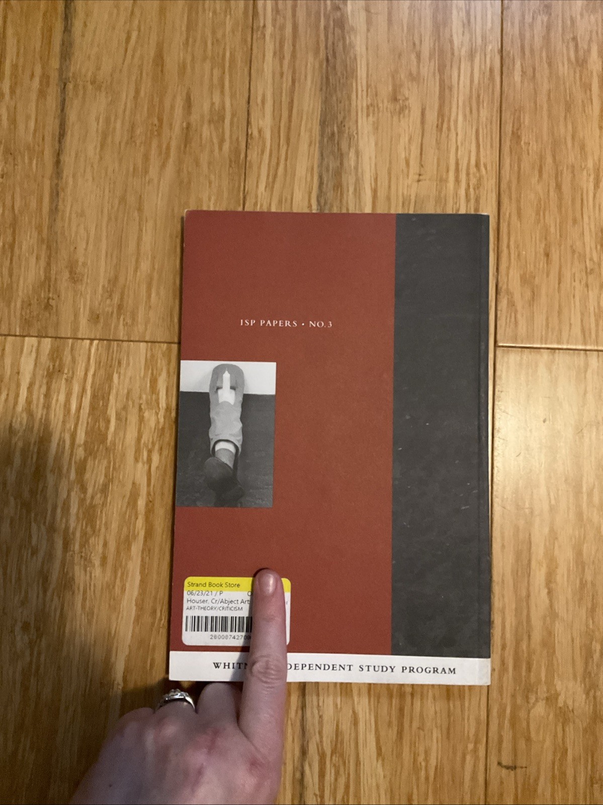 ABJECT ART: REPULSION AND DESIRE IN AMERICAN ART (ISP By Craig Houser & Leslie