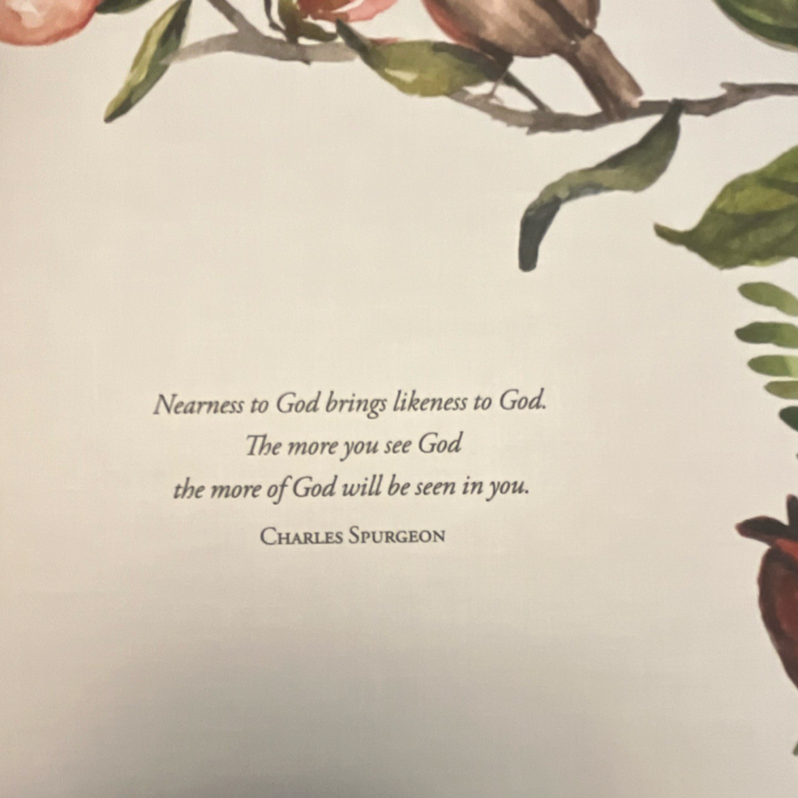 Beholding and Becoming Ruth Chou Simons Hardcover 2019 Religion Harvest House