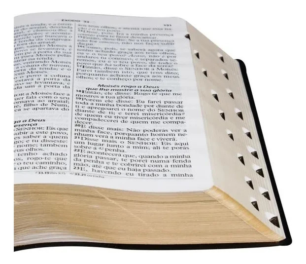 Biblia Sagrada: ARC – Capa: Flexivel em Couro – Letra: Gigante (Portugues)