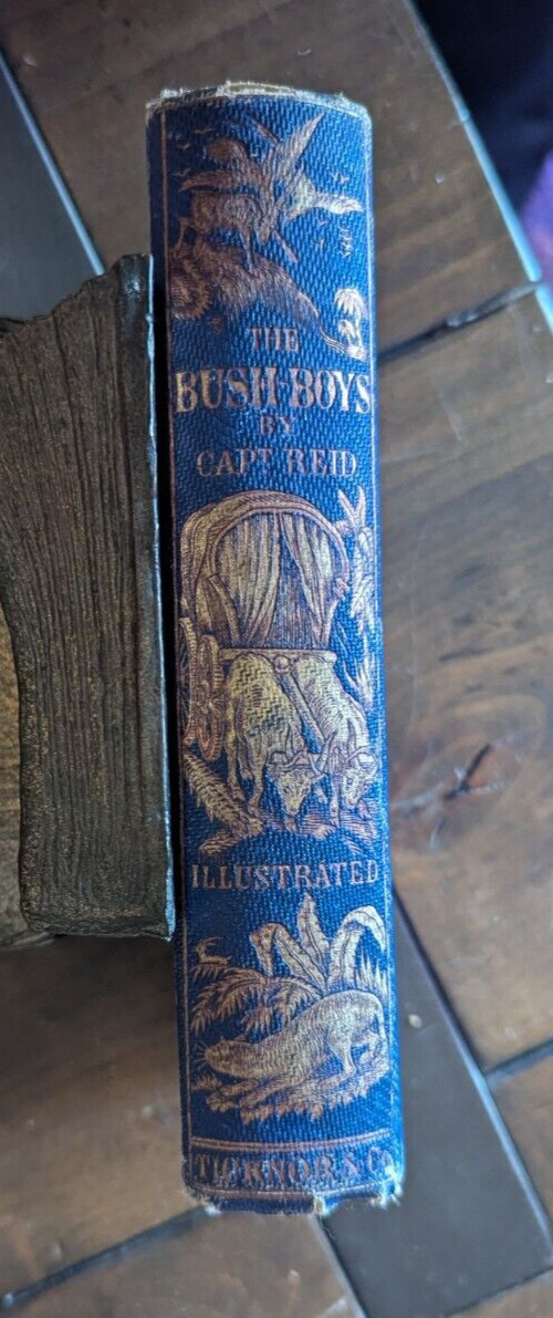 Antique 1800s Vintage 1900s Holiday Children’s Fiction & NONFICTION