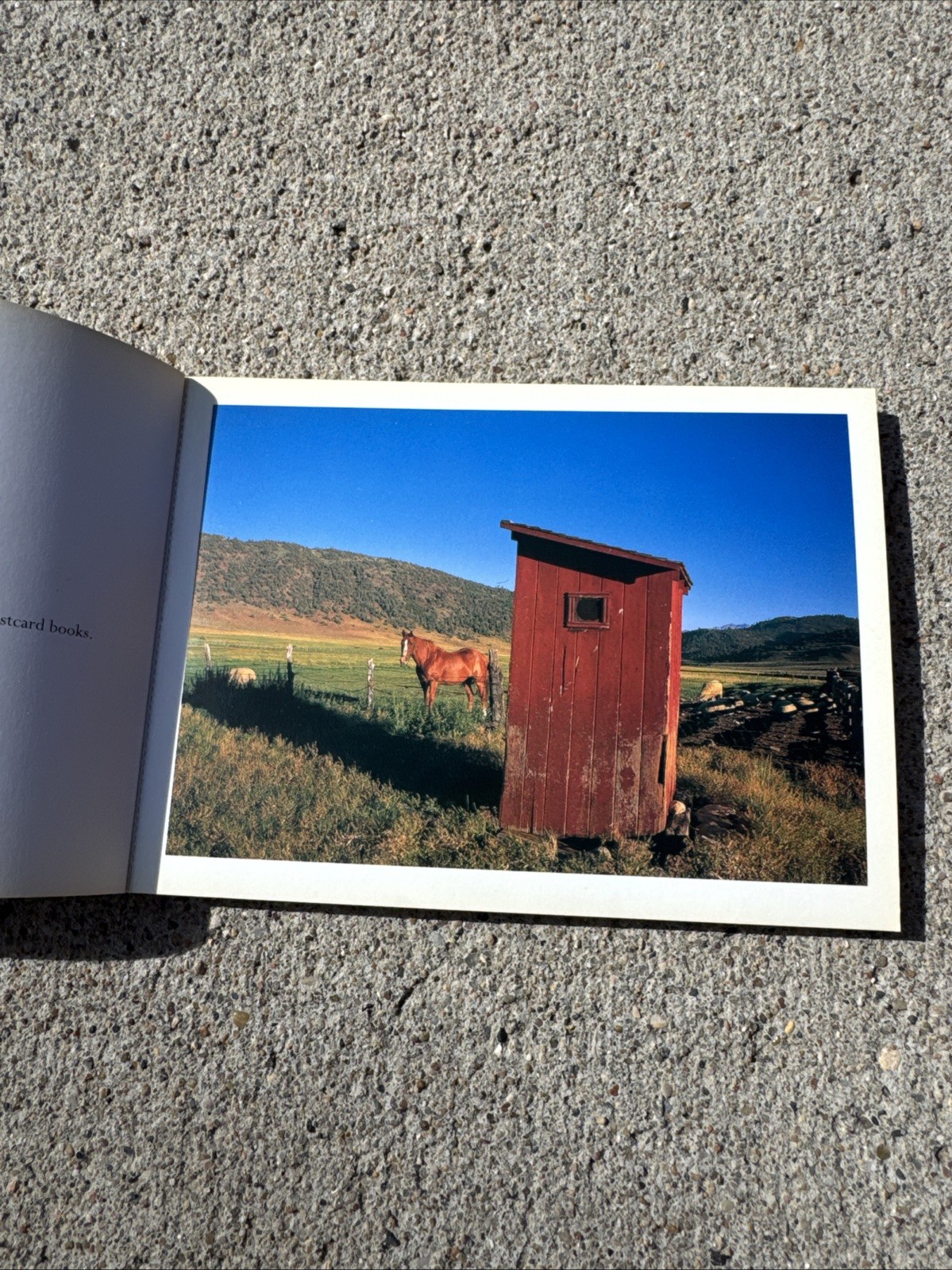 Unique! Outhouses Photo Postcards Book 1997~1563139324~browntrout-publishers