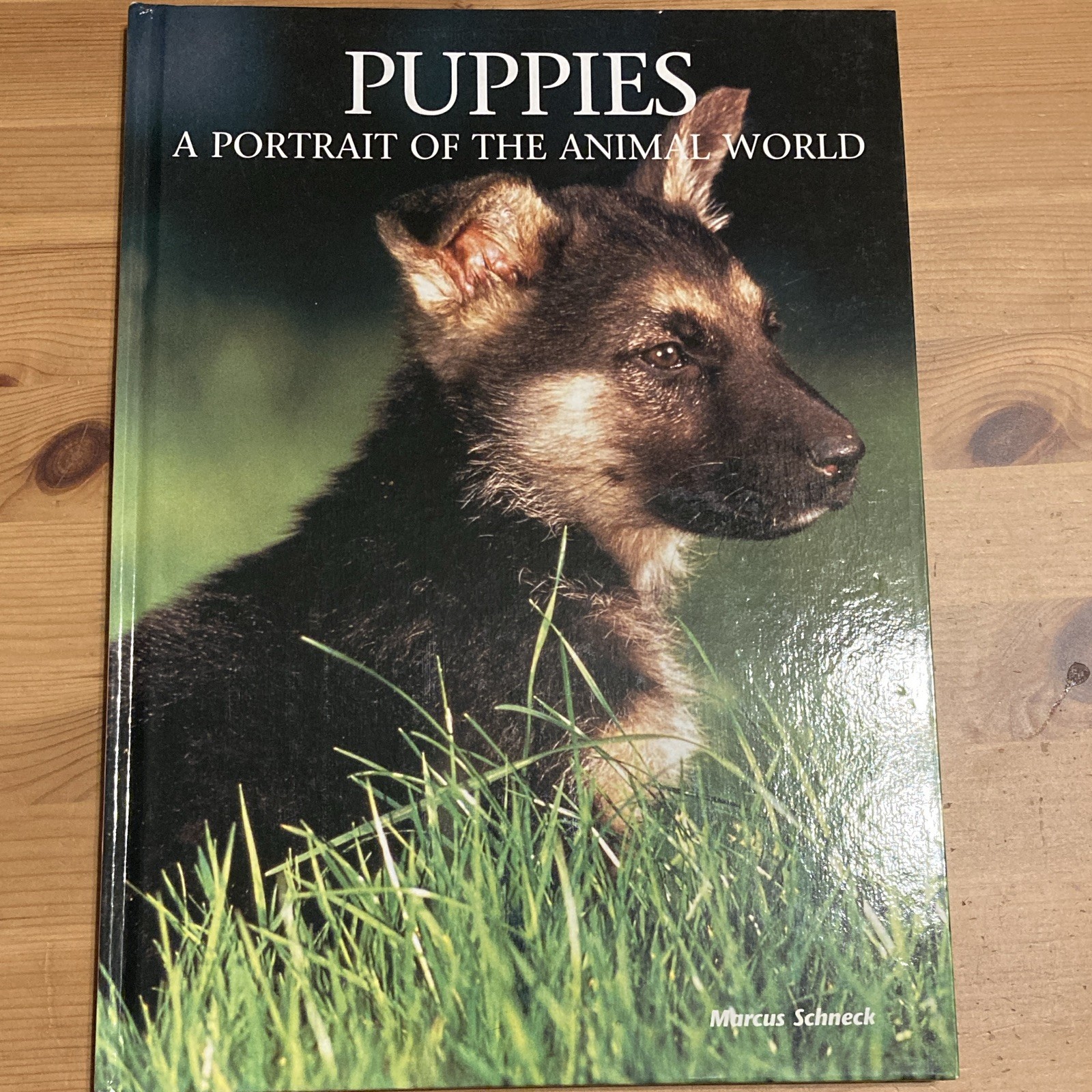 Puppies Marcus H. Schneck 1998 Newline HC Illus A Portrait Animal World Ser