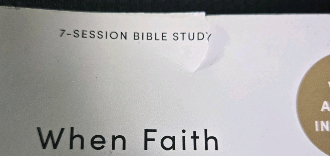 When Faith Becomes Sight: Heaven Jennifer Rothschild Bible Study Book Paperbook