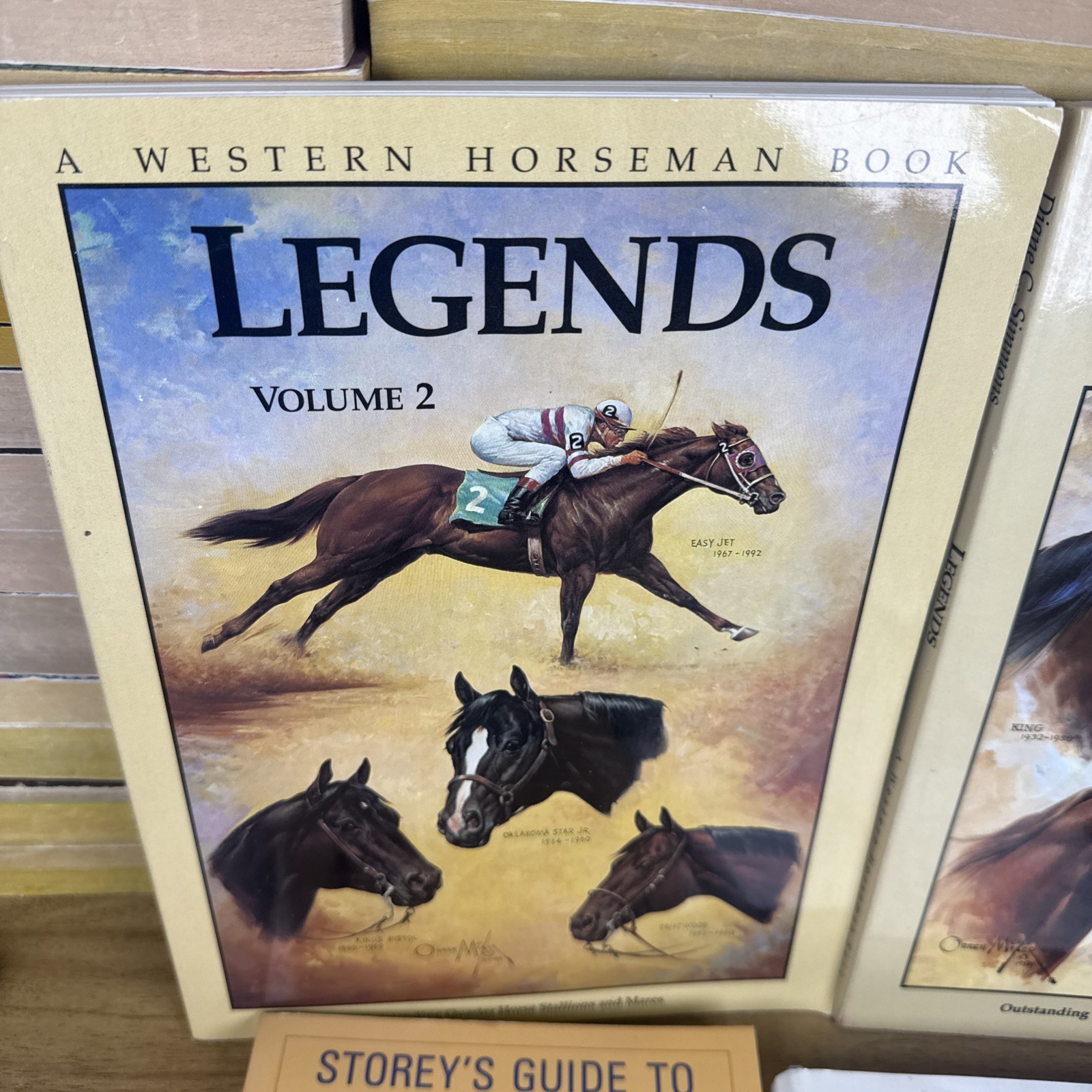 Lot HORSE EQUINE Literature Equestrian Books And Dvds