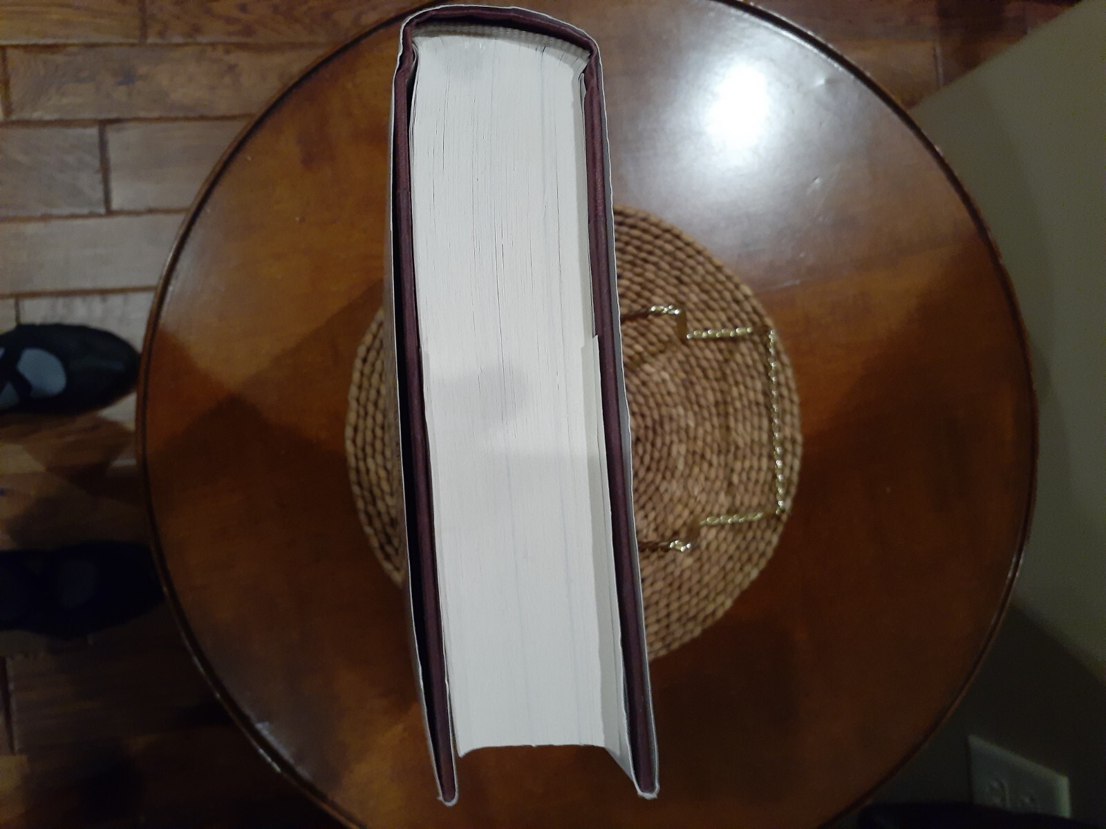 NEW HB BOOK W/DUST COVER THE AGE OF TURBULENCE ALAN GREENSPAN 544 PAGES