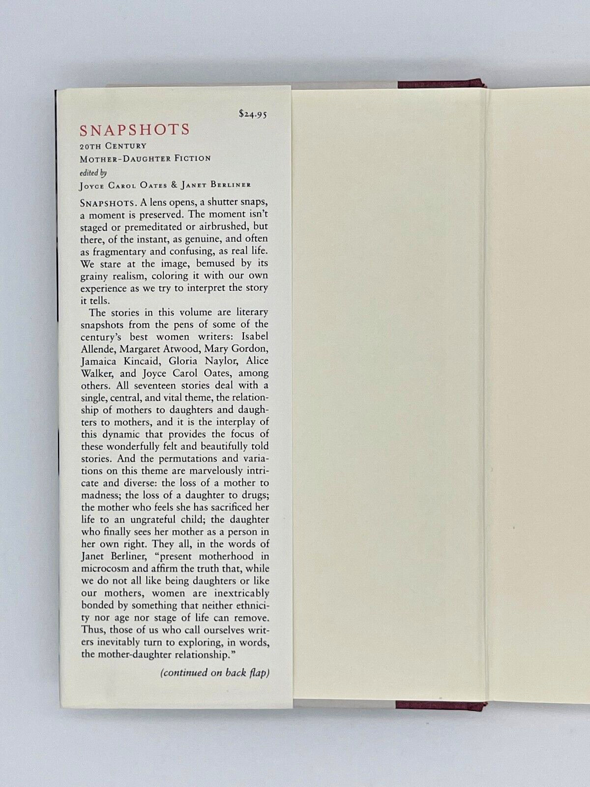 Snapshots 20th Century Mother-Daughter Fiction Vintage 2000 Book 241 pages-A3