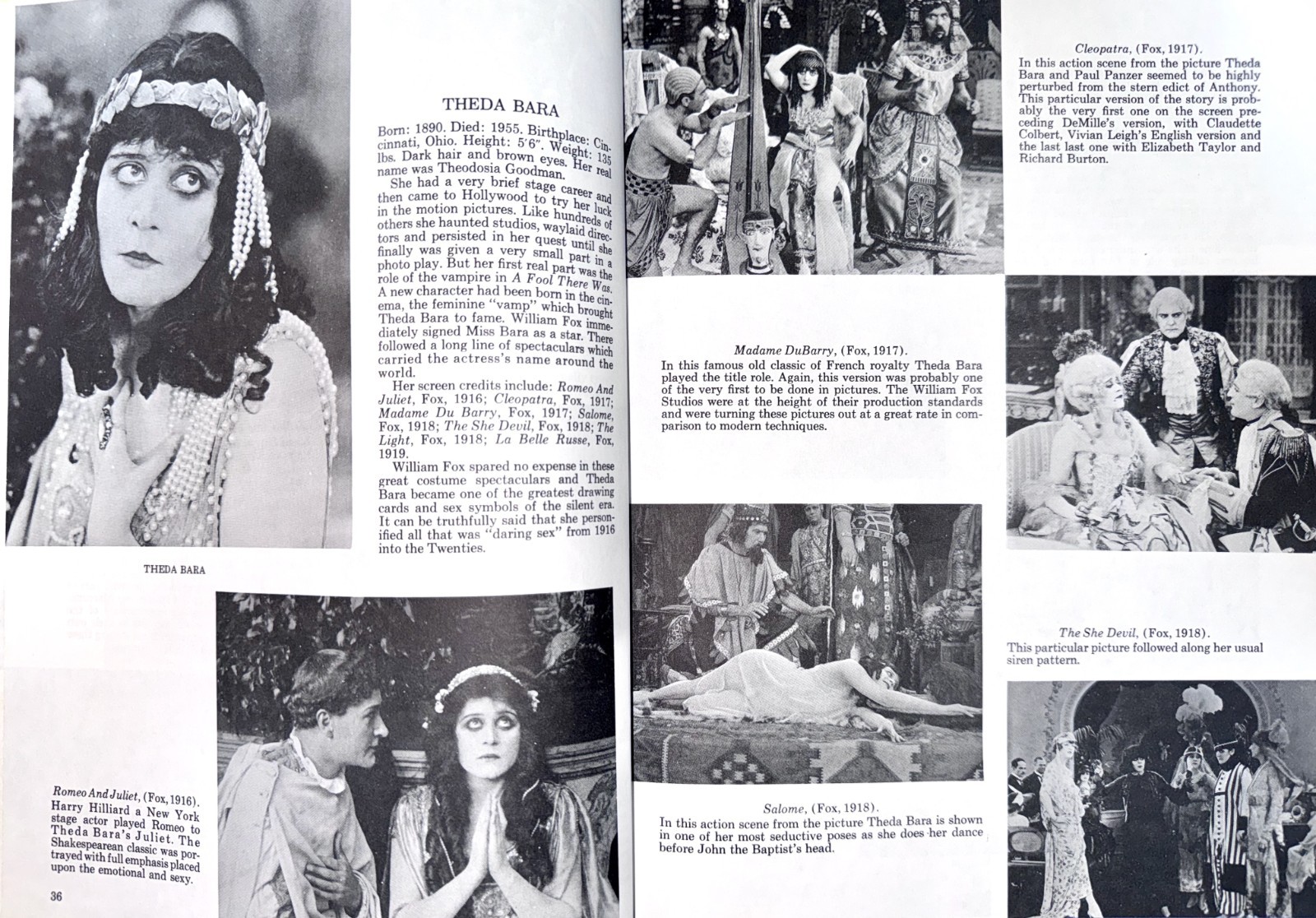 IMMORTALS of the SCREEN over 600 Memorable Photos FILM stars DJ1stHB Film Movies