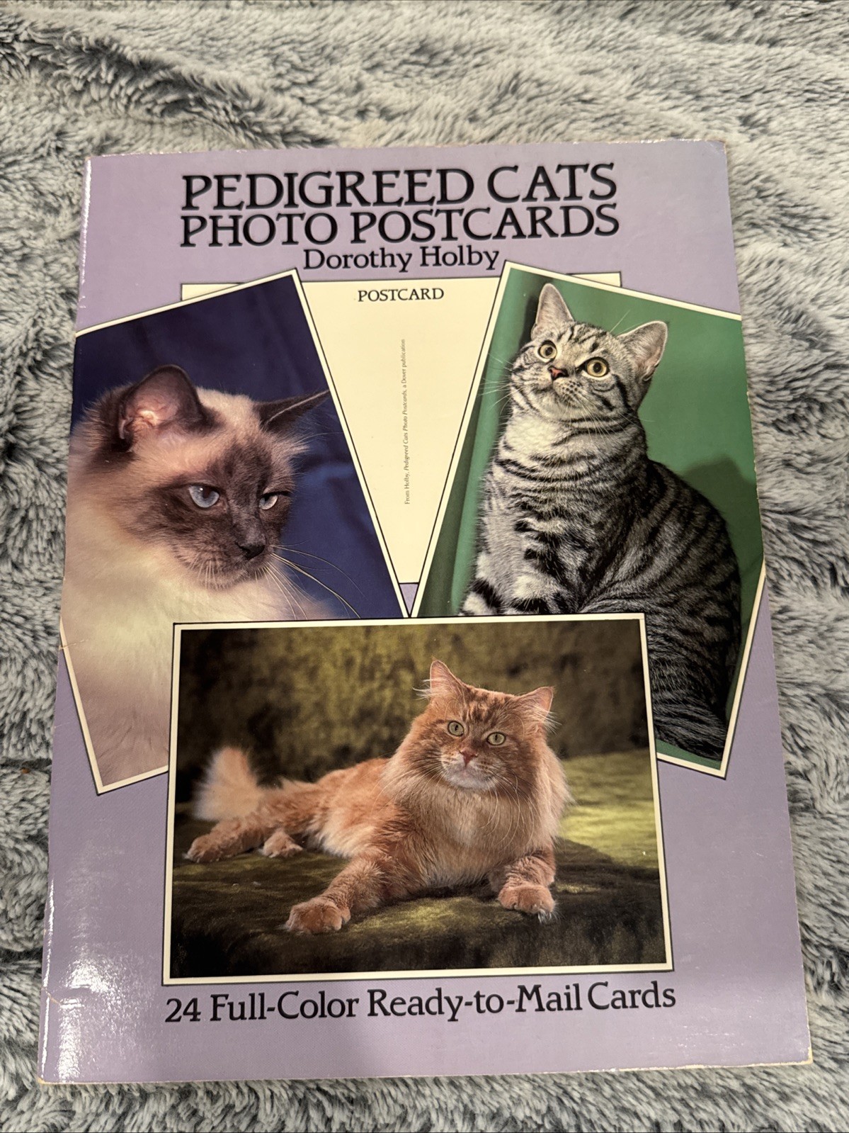 PEDIGREED CATS PHOTO POSTCARDS: 24 FULL-COLOR By Dorothy Holby