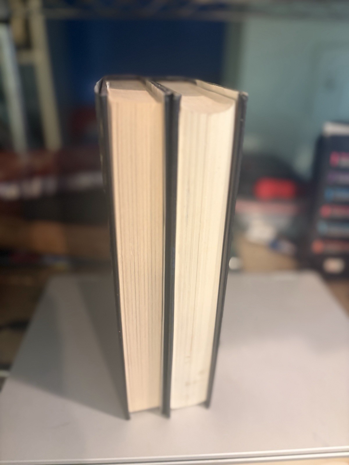 Dean Koontz Hardcovers, Lot of 2, VERY GOOD (976)
