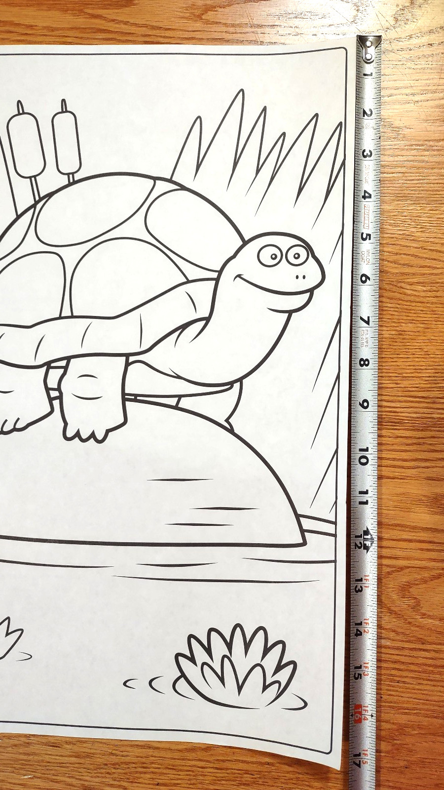 Crayola Giant 20 Coloring Pages Book Animals 10.5 in W X 17 in Long – 18 Pages