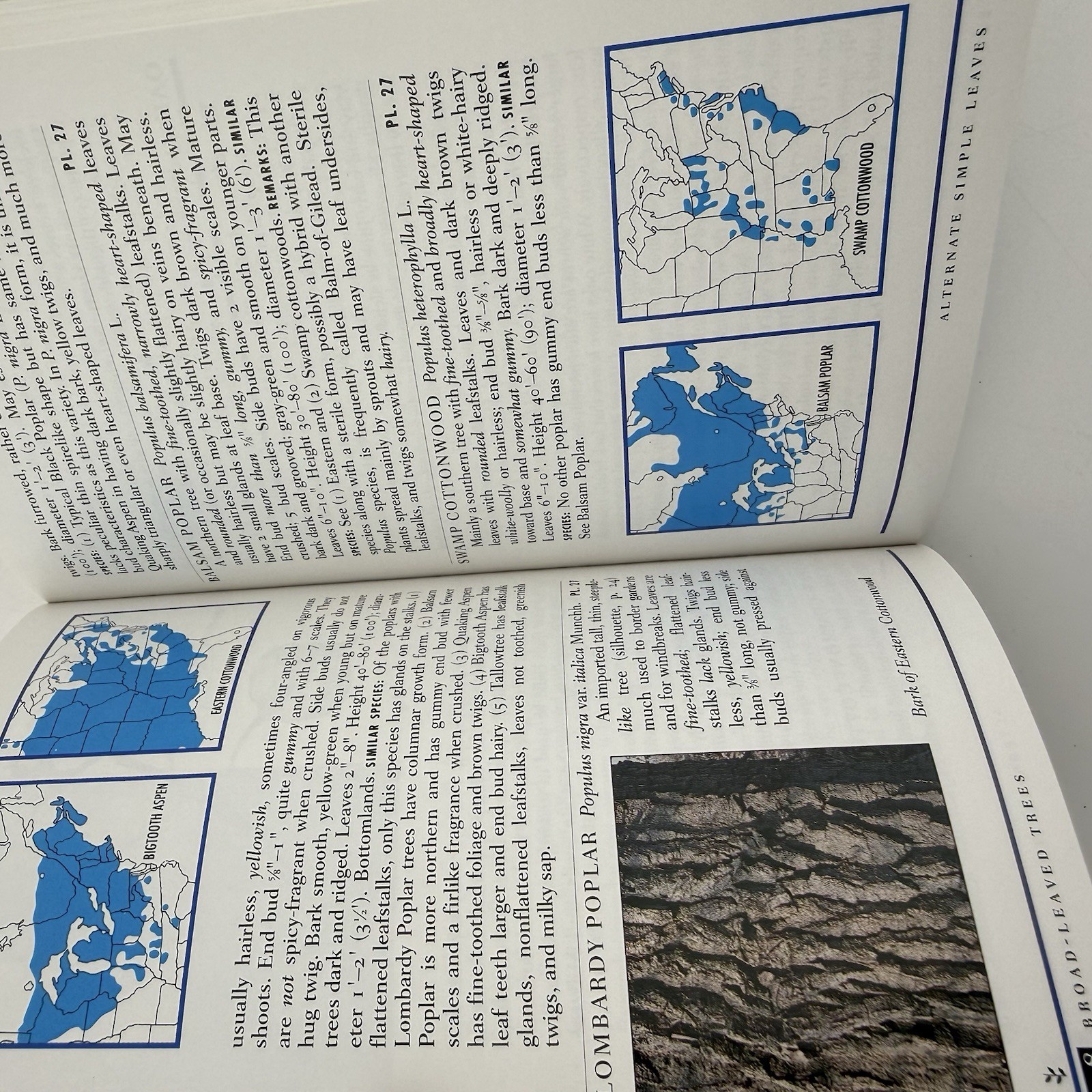 Peterson Field Guide to Eastern Trees George A. Petrides Janet Wehr