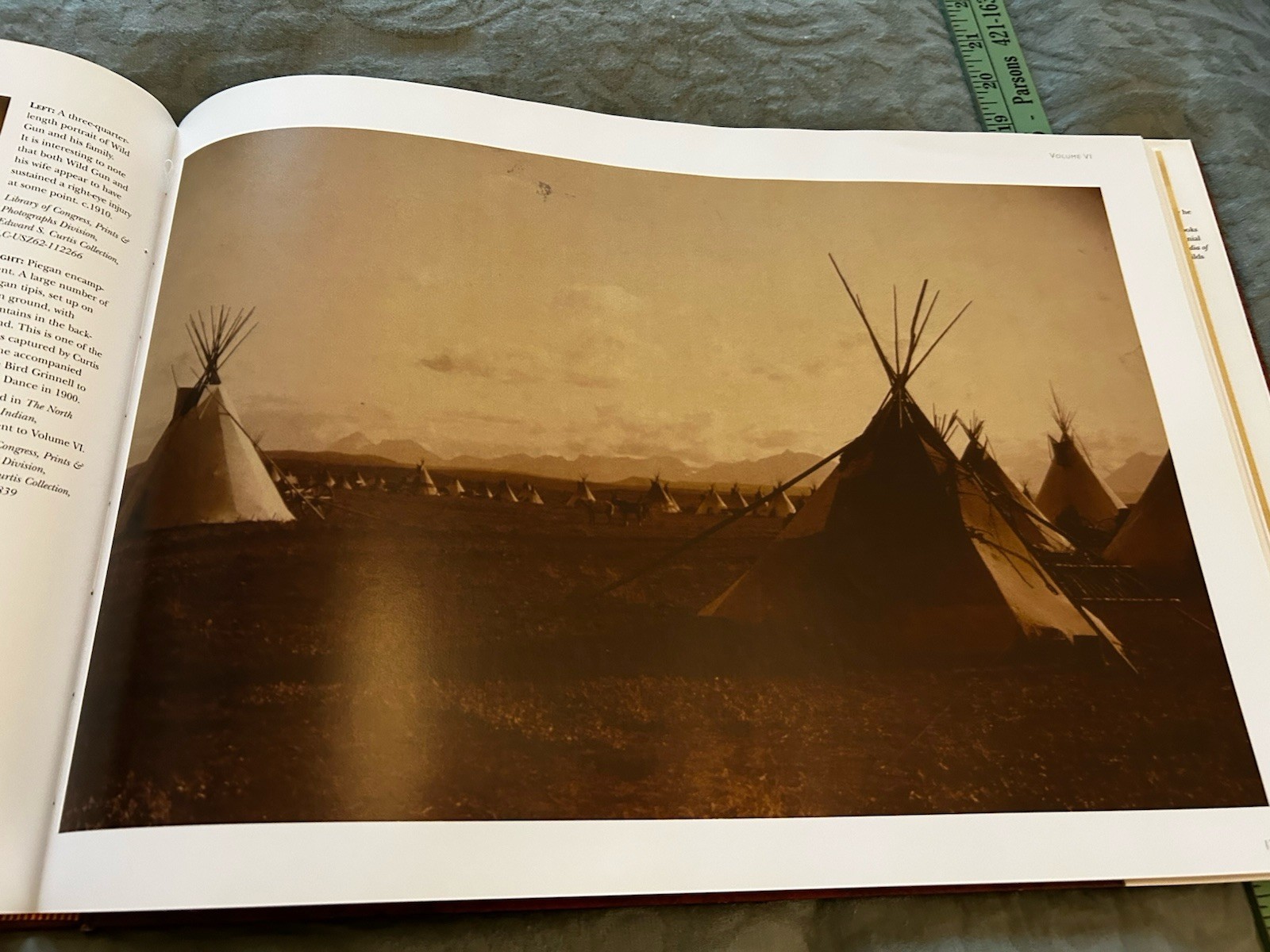 “Native Land Native People” From Edward S. Curtis Collection By Wayne Youngblood