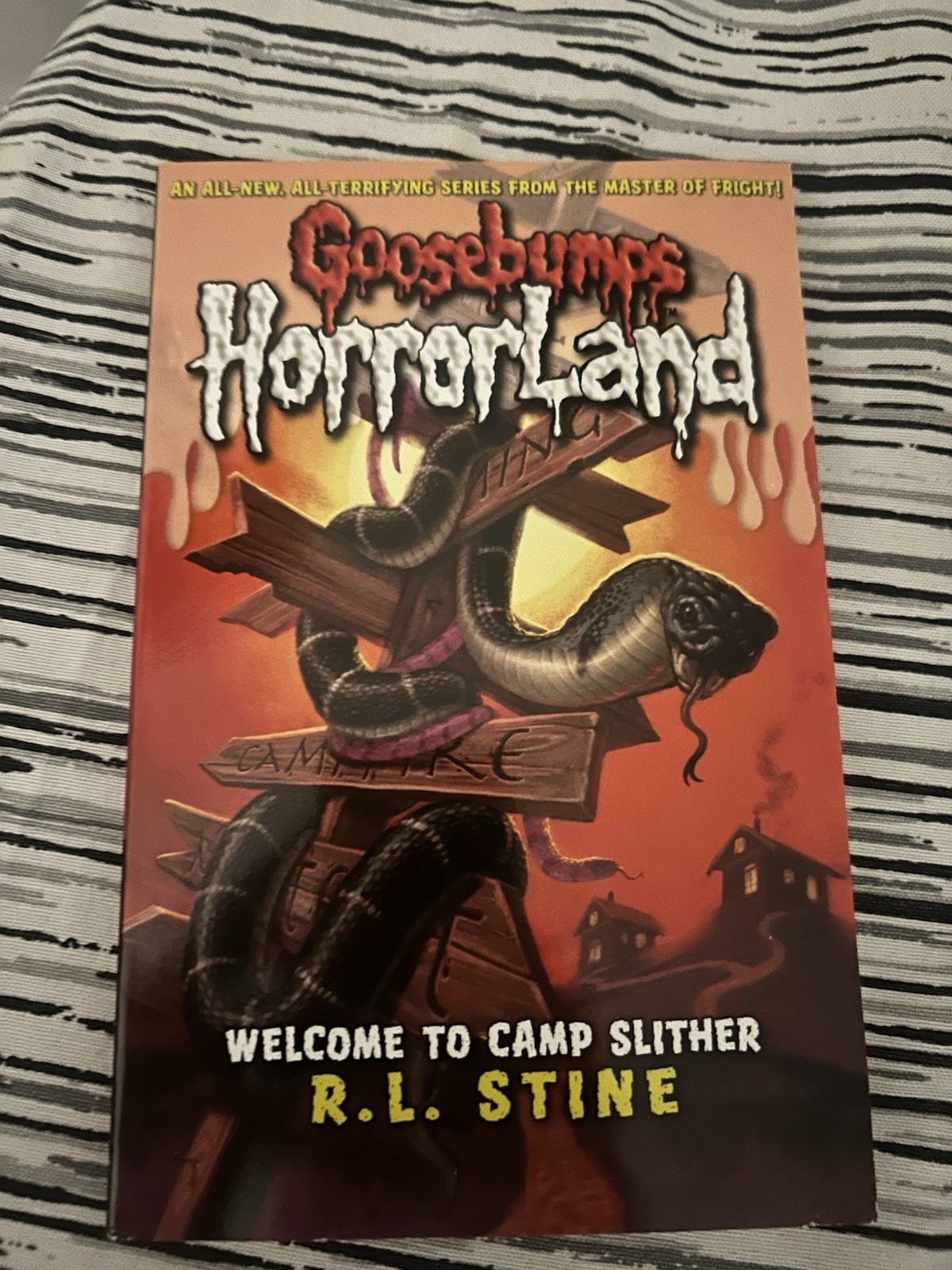 Goosebumps HorrorLand by R.L. Stine Paperback – 10pc Full set – Collector‘ item