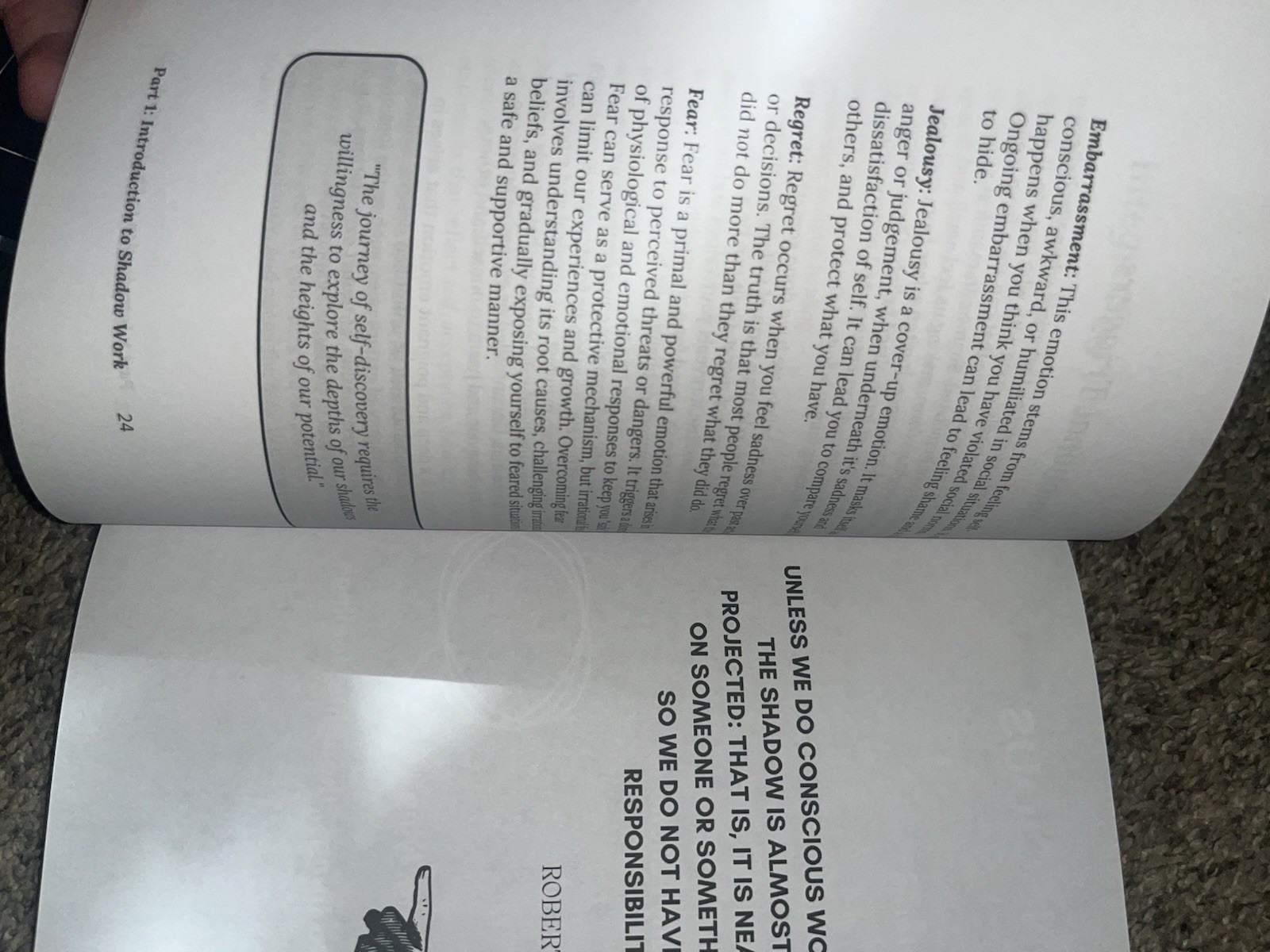 The Shadow Work Journal: a Guide to Integrate and Transcend Your Shadows