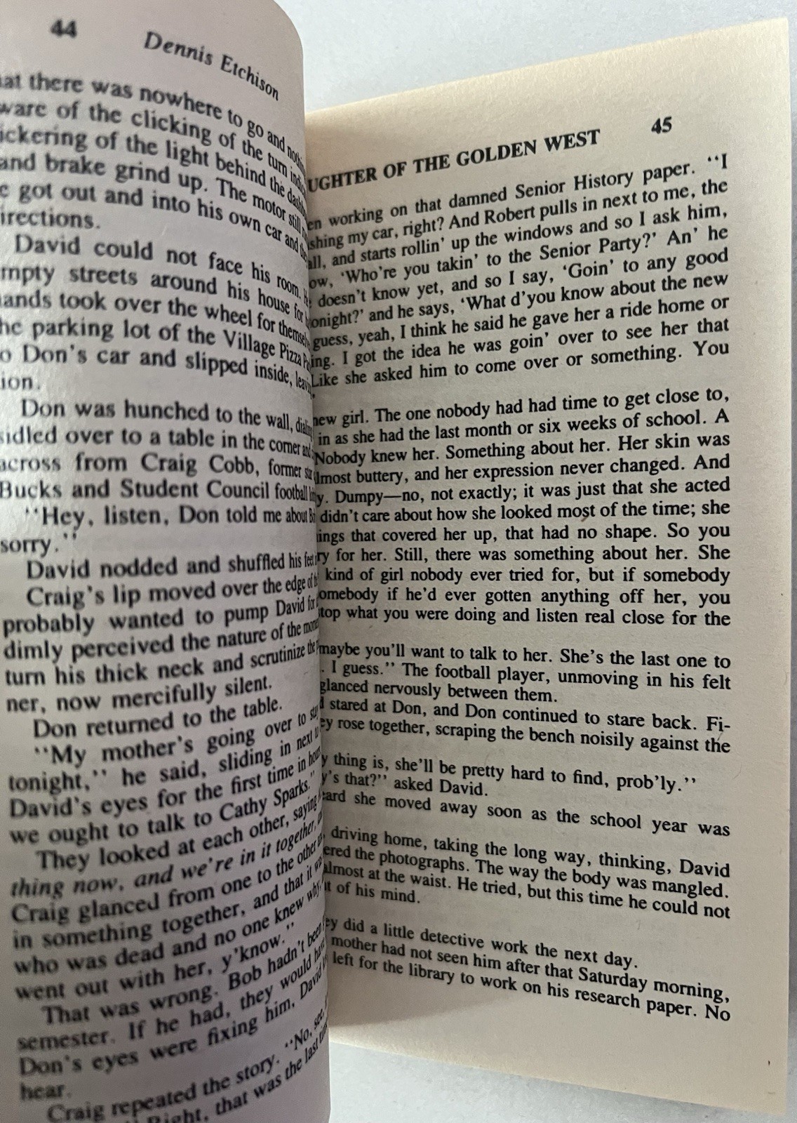 Vintage 1982 The Dark Country Dennis Etchison Paperback Horror Fiction Book