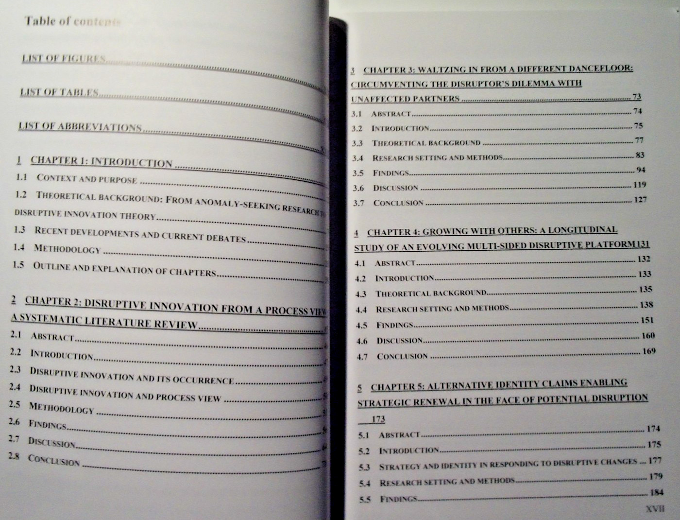 Disruptive Innovation From A Process View von Neele Petzold