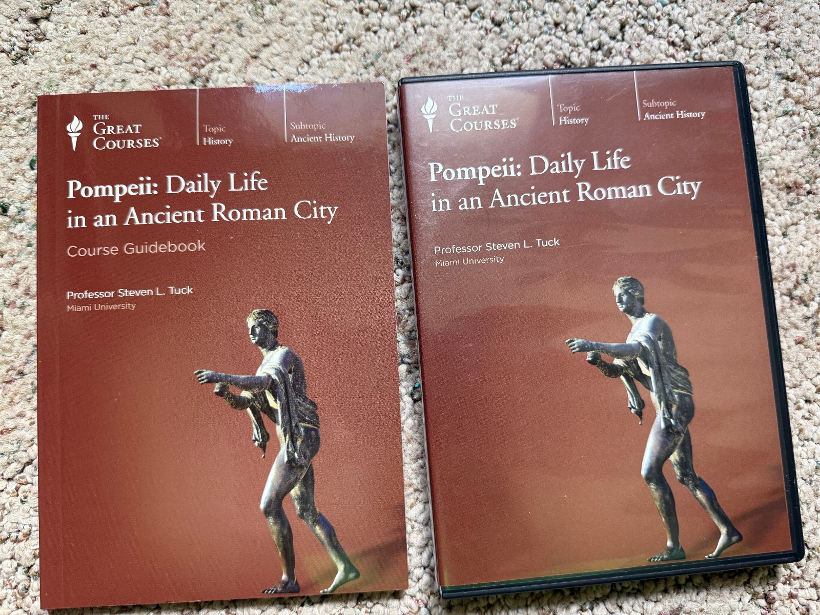 Great Courses: History WW 1 & 2, European, England, Irish & Celtic, Pompeii EUC